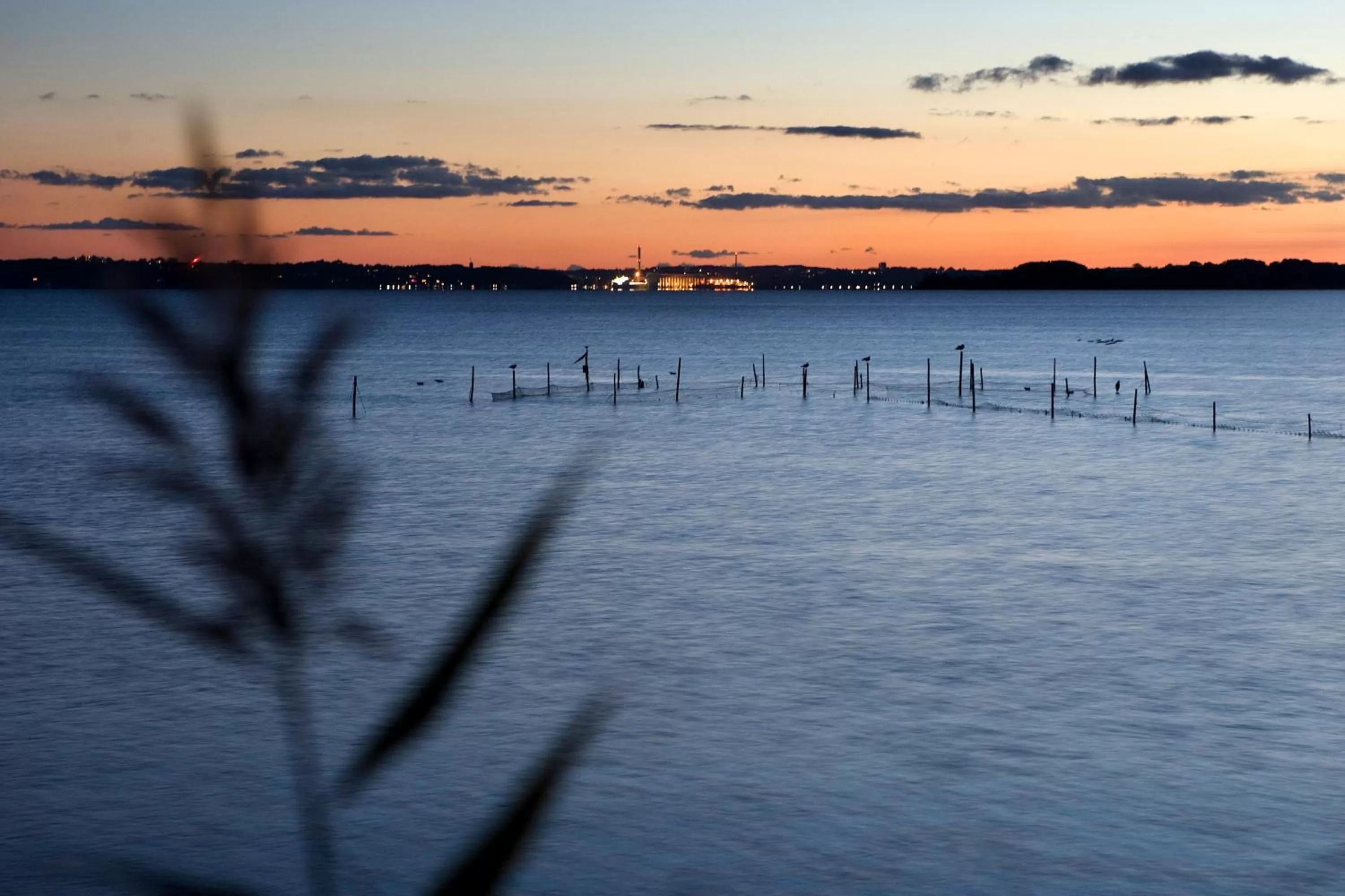 Area and facilities, Sunrise/Sunset in Benniksgaard Bed & Breakfast