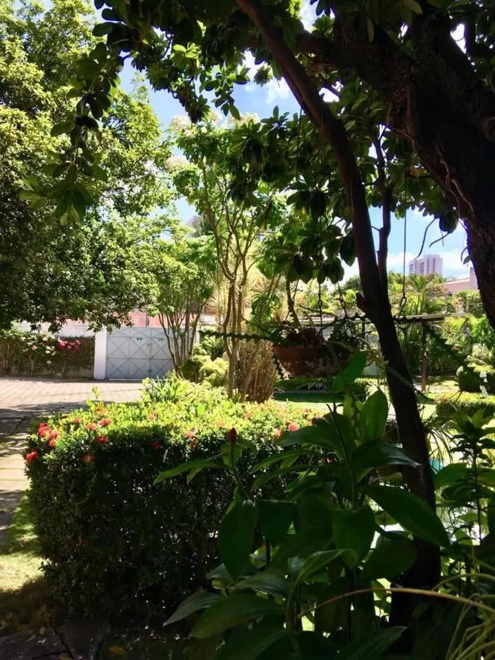 Garden in Hotel Jardim