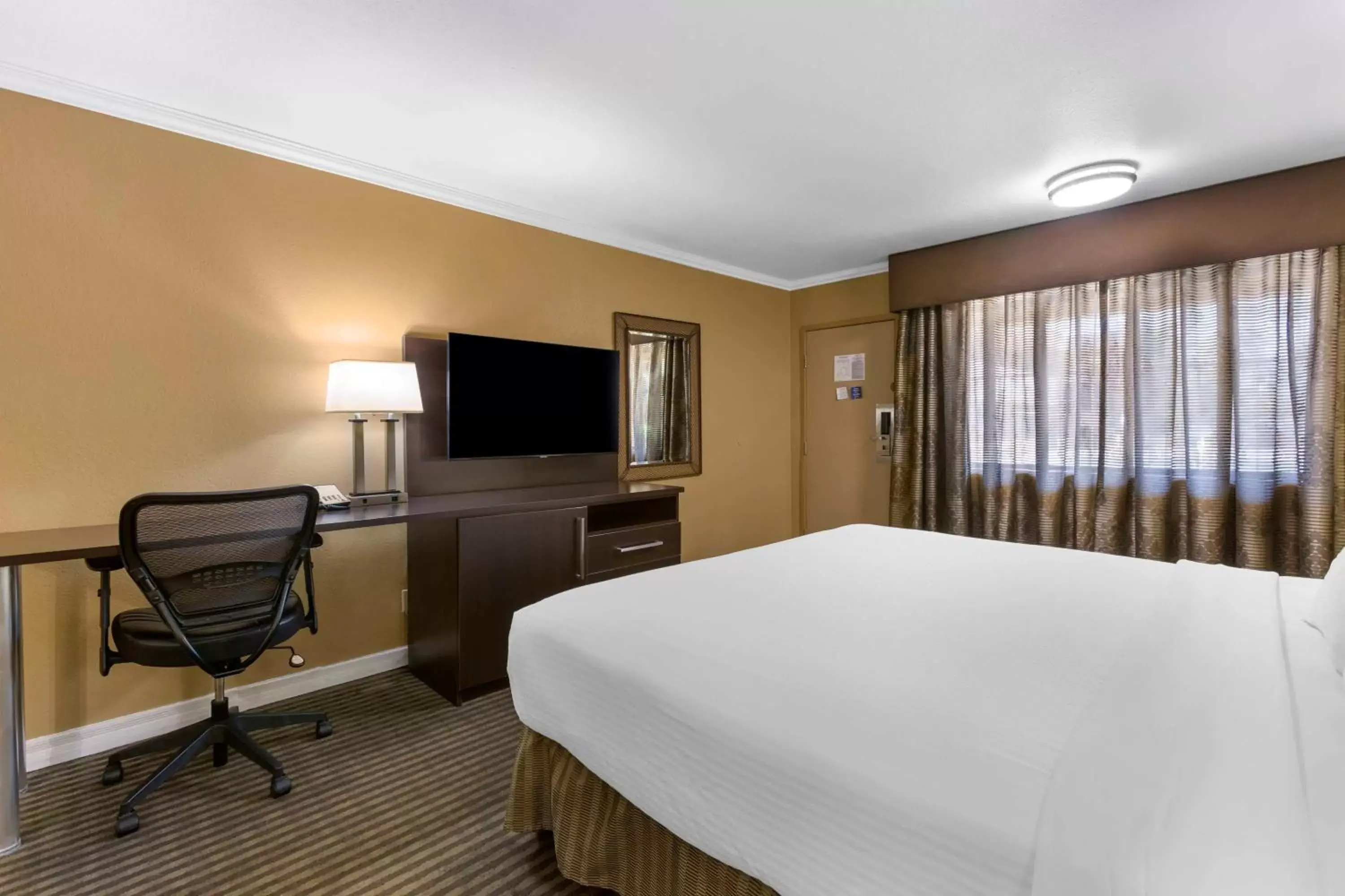 King Room with Walk-In Shower - Mobility Access in Best Western Royal Sun Inn & Suites King Room with Walk-In Shower - Mobility Access in Best Western Royal Sun Inn & Suites