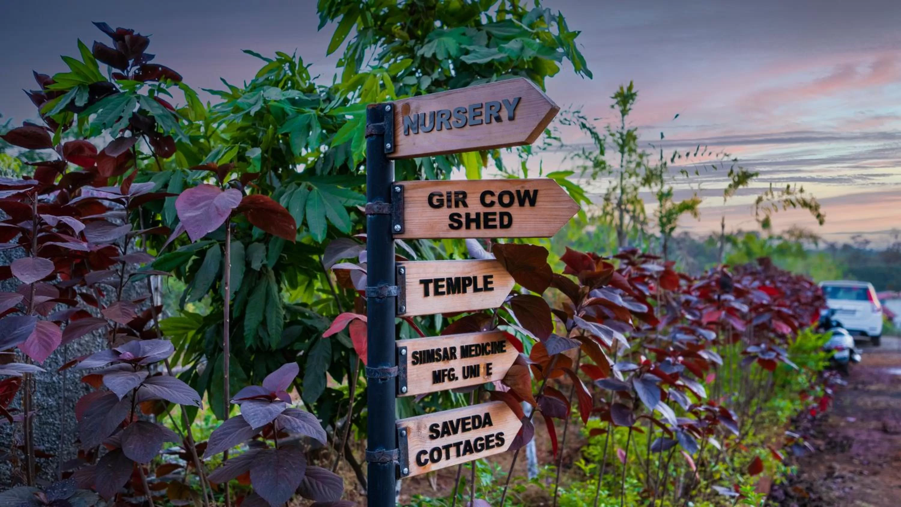 Garden in Saveda Farm & Cottages