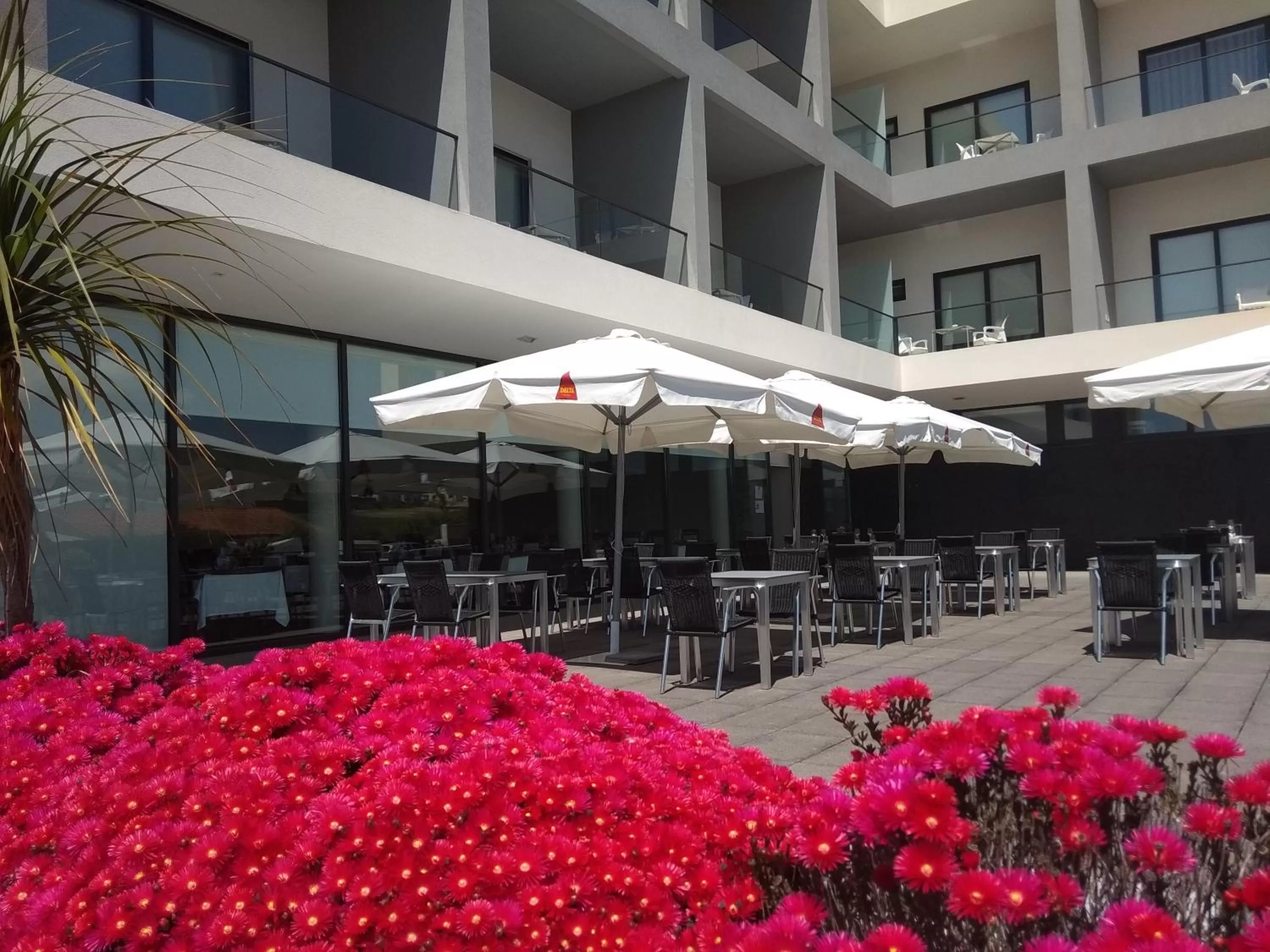 Property building in Hotel Monte Lírio