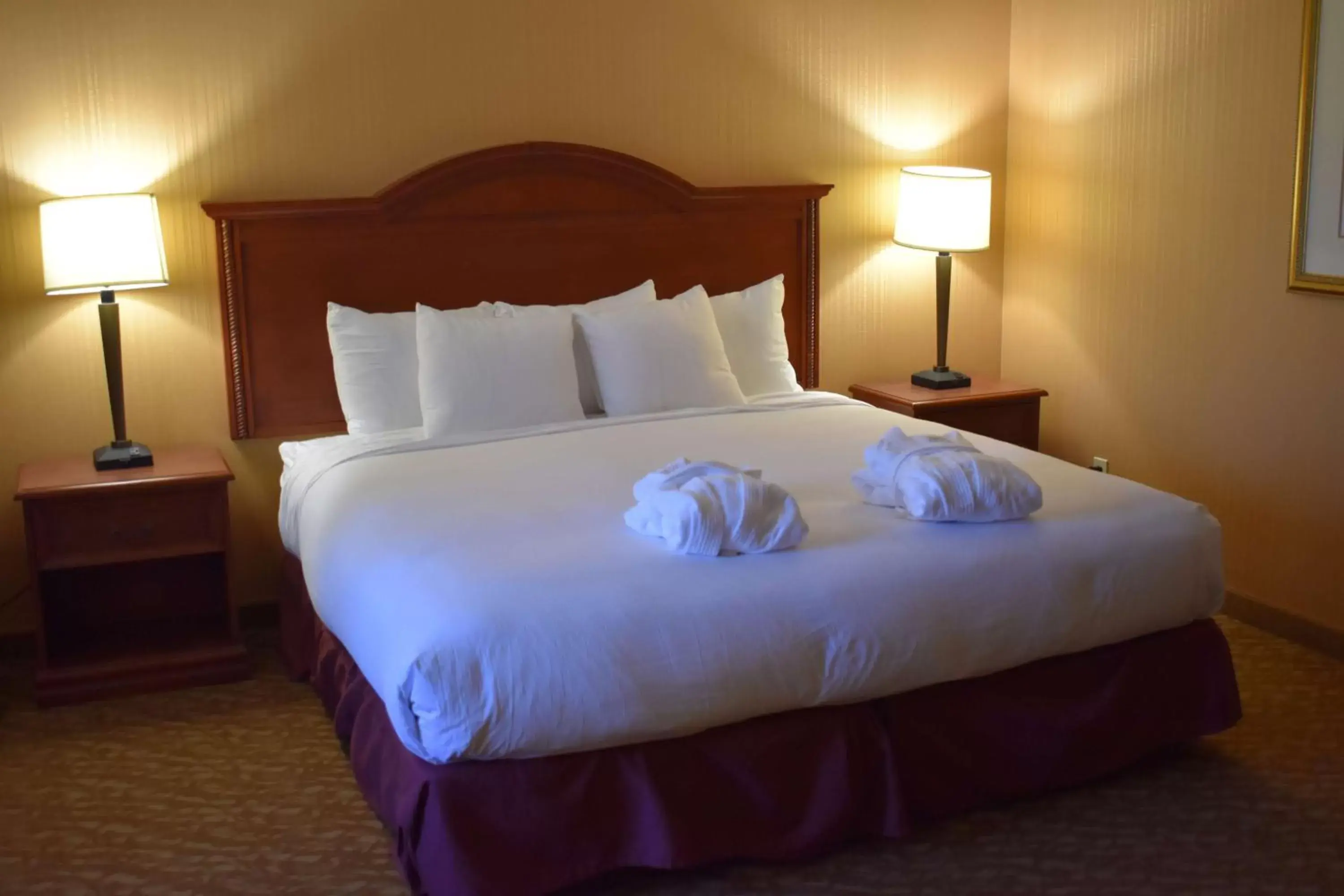 King Suite with Sofa Bed - Non-Smoking in DoubleTree by Hilton Biltmore/Asheville King Suite with Sofa Bed - Non-Smoking in DoubleTree by Hilton Biltmore/Asheville