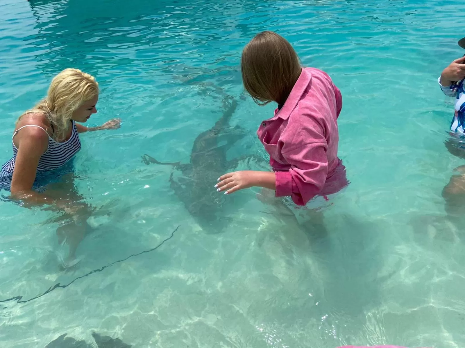 Snorkeling, Swimming Pool in Araamview