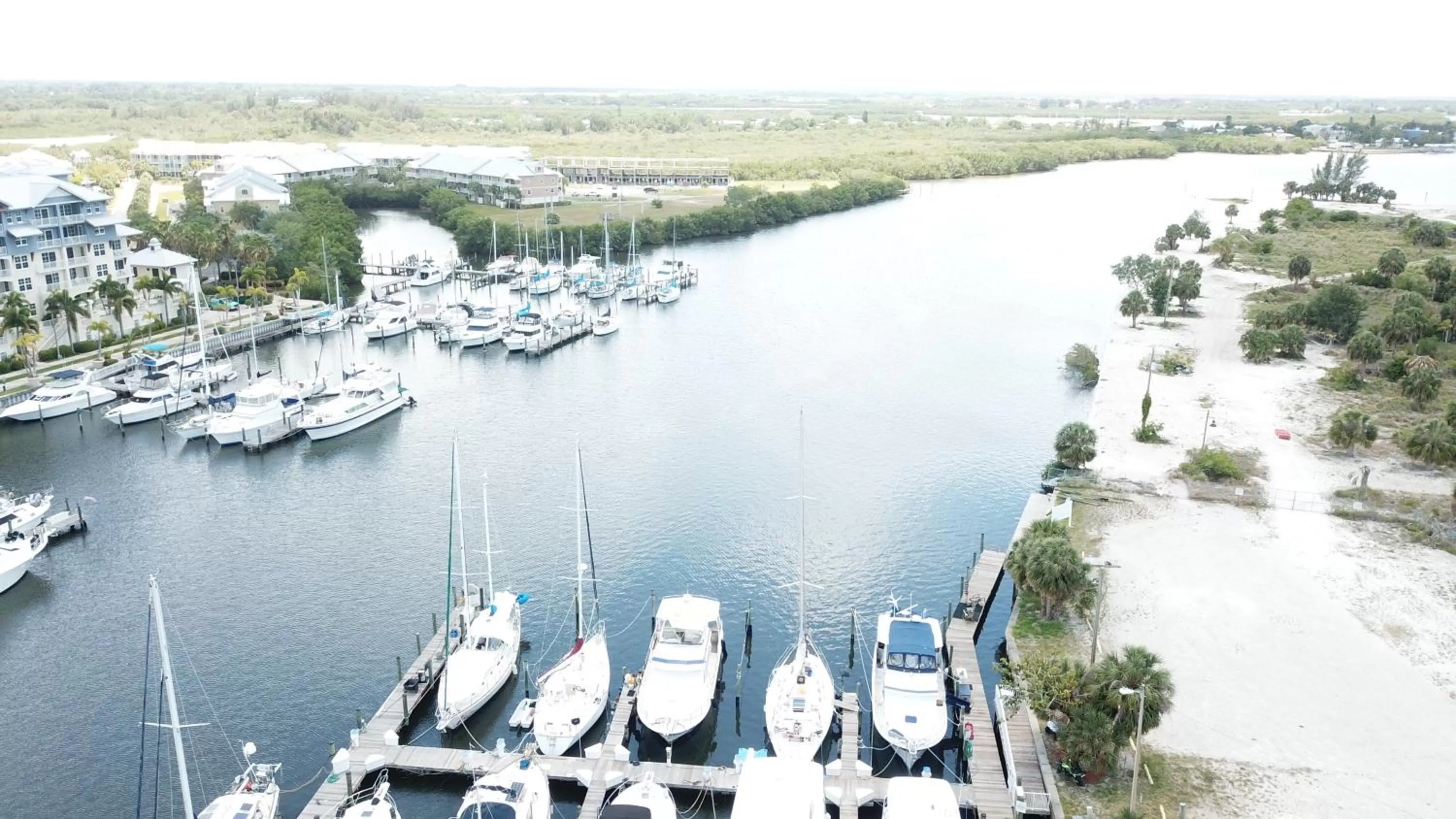 Day in TAMPA BAY, BEACH step away, WIFI, FREE PARKING,POOLS, JACUZZI