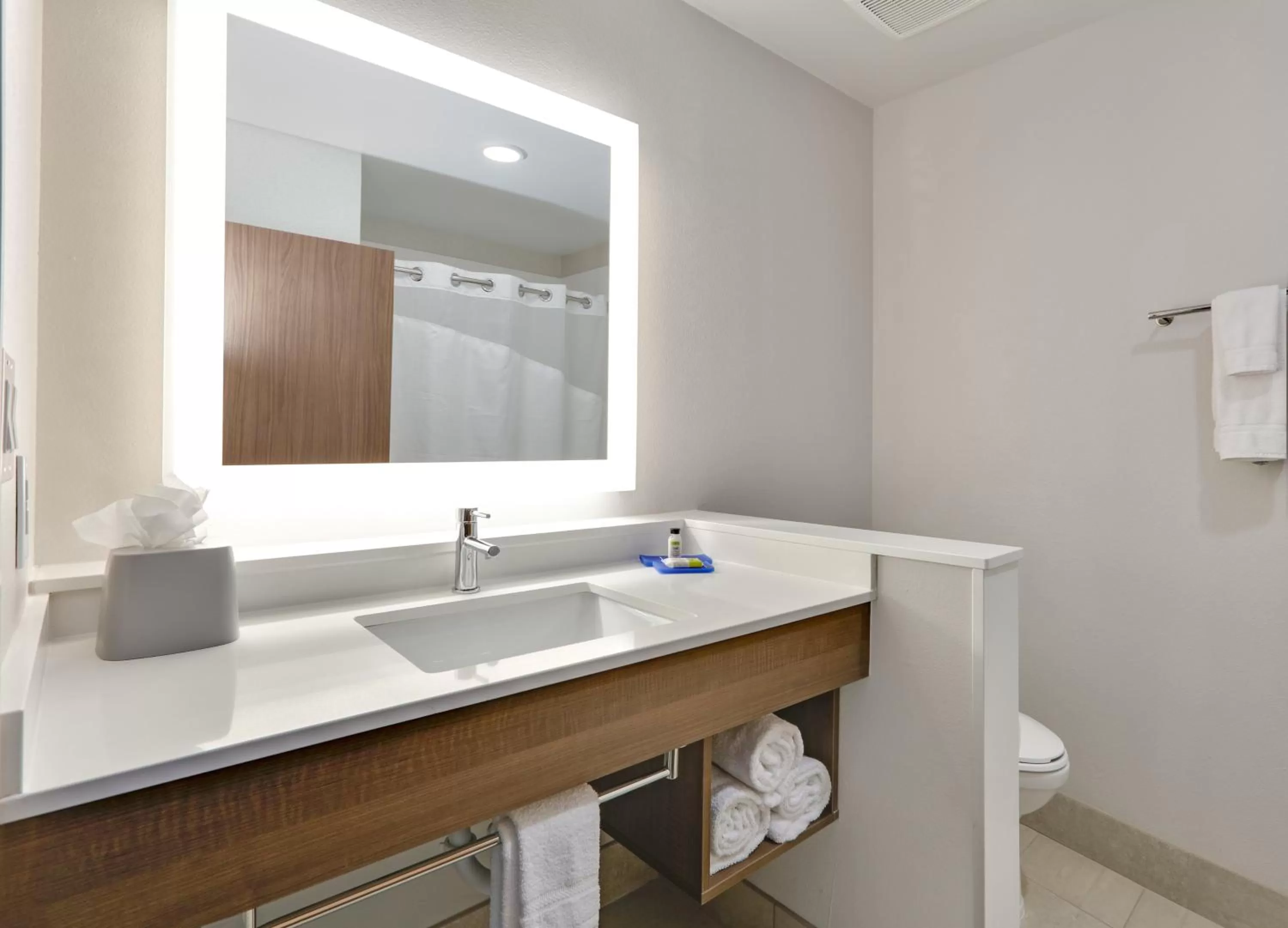 Bathroom in Holiday Inn Express & Suites Fort Worth North - Northlake by IHG