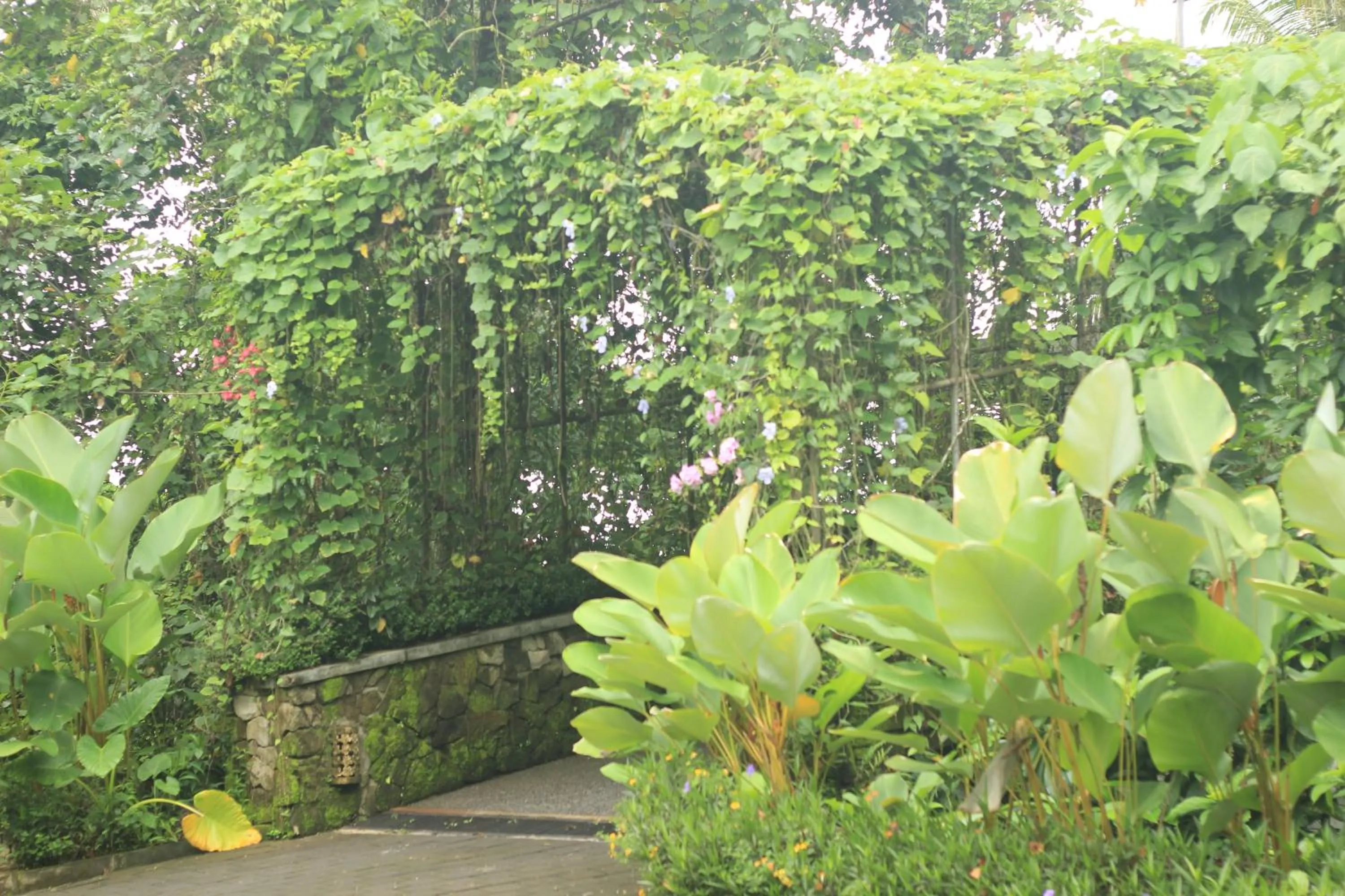 Garden in BeingSattvaa Luxury Ubud