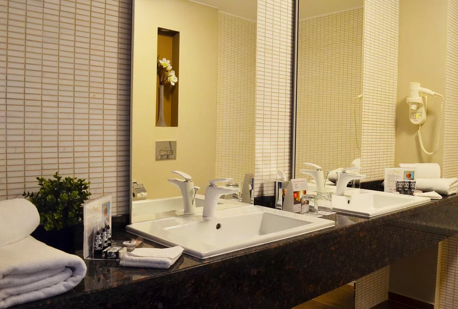 Bathroom in Ramada Plaza Craiova