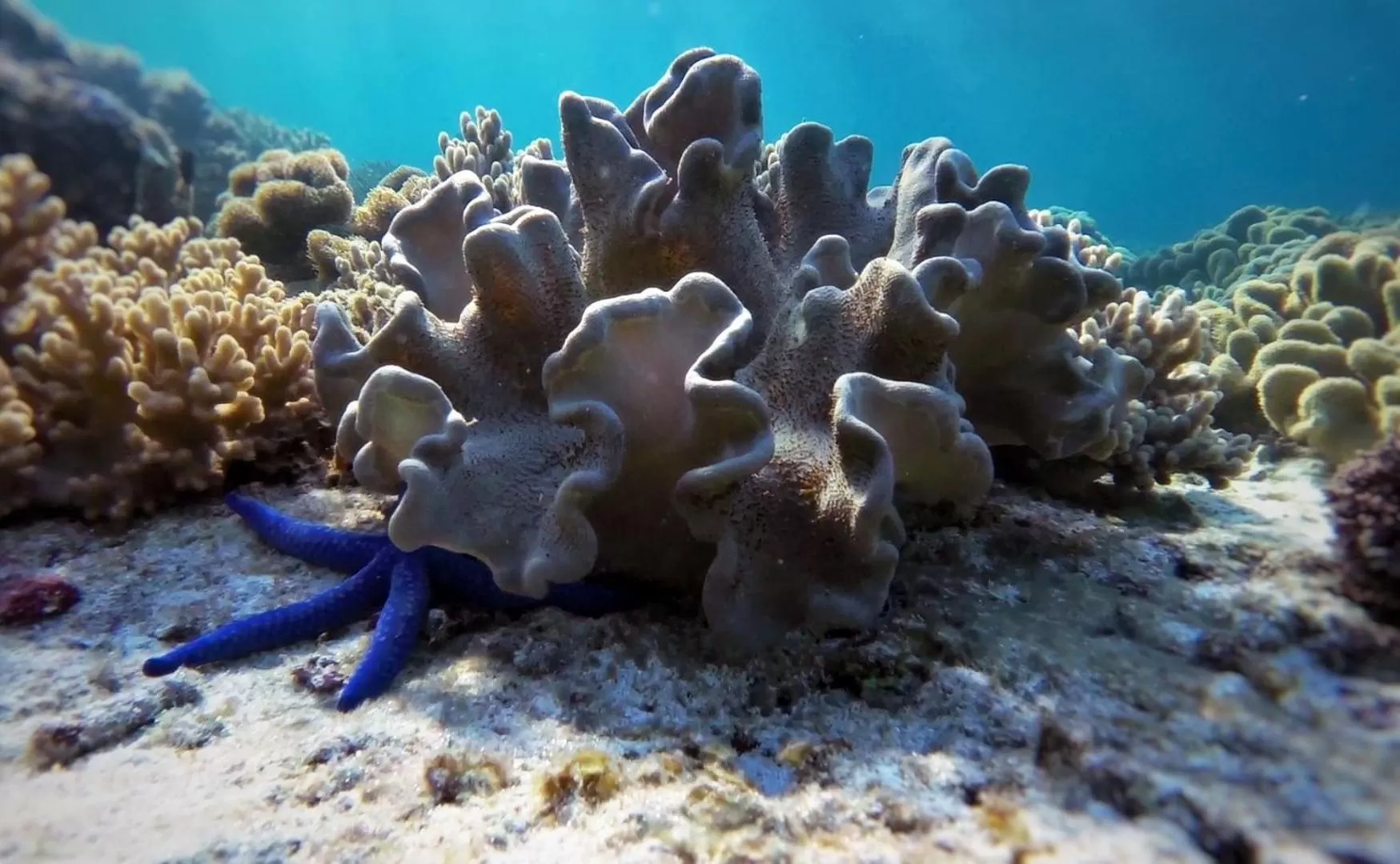 Sea view in Ancelle Cristo Re