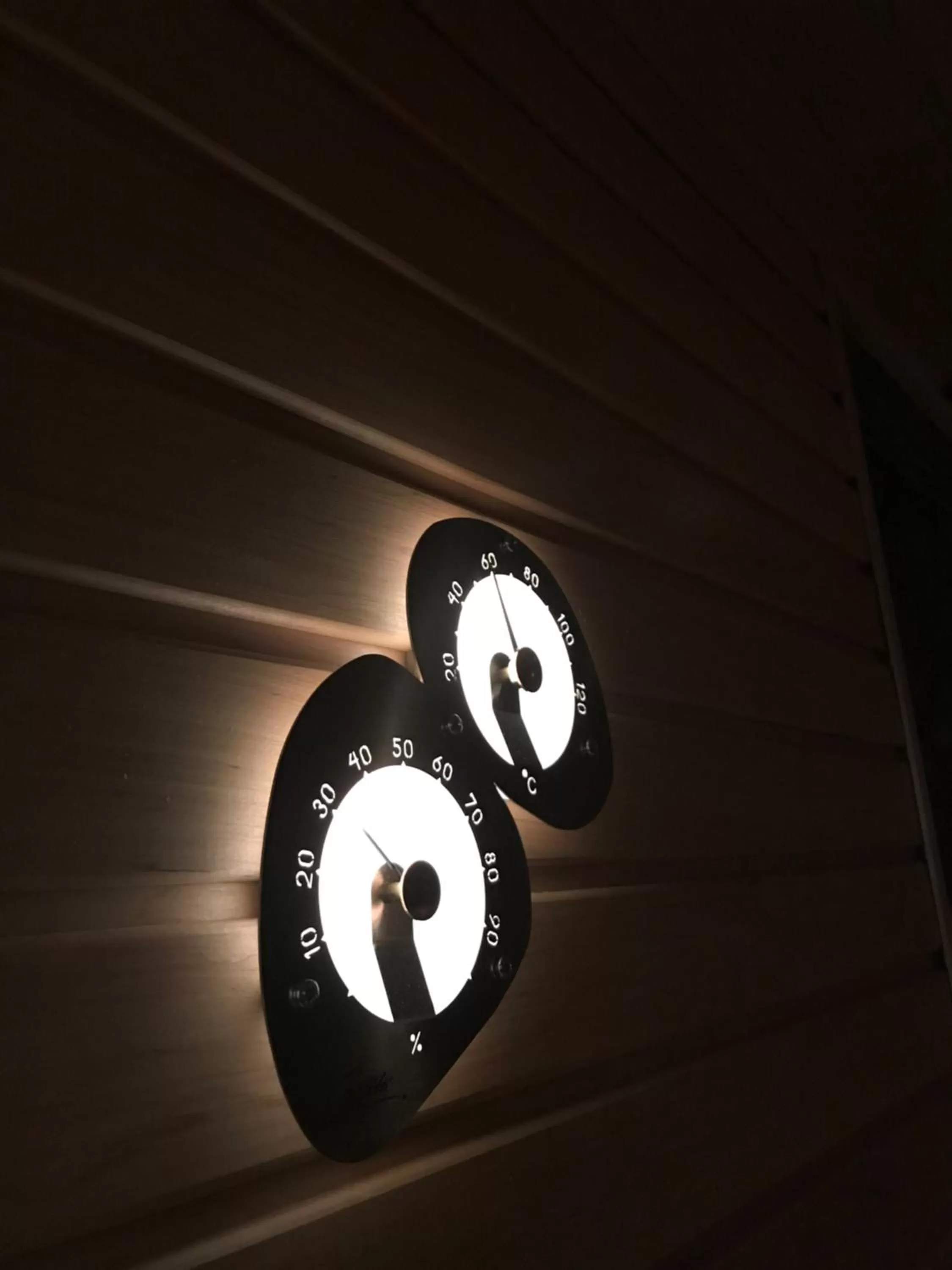 Sauna in Hotel CityHovi