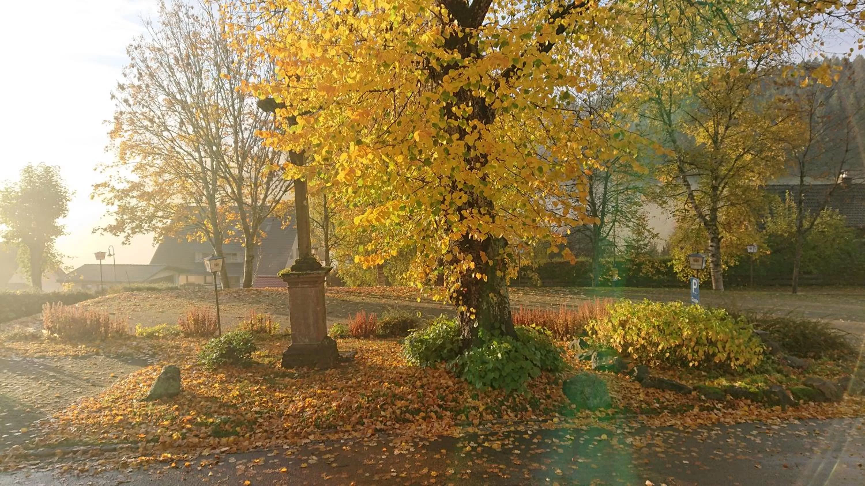 Garden in ZUR TRAUBE Schwarzwaldhotel & Restaurant am Titisee