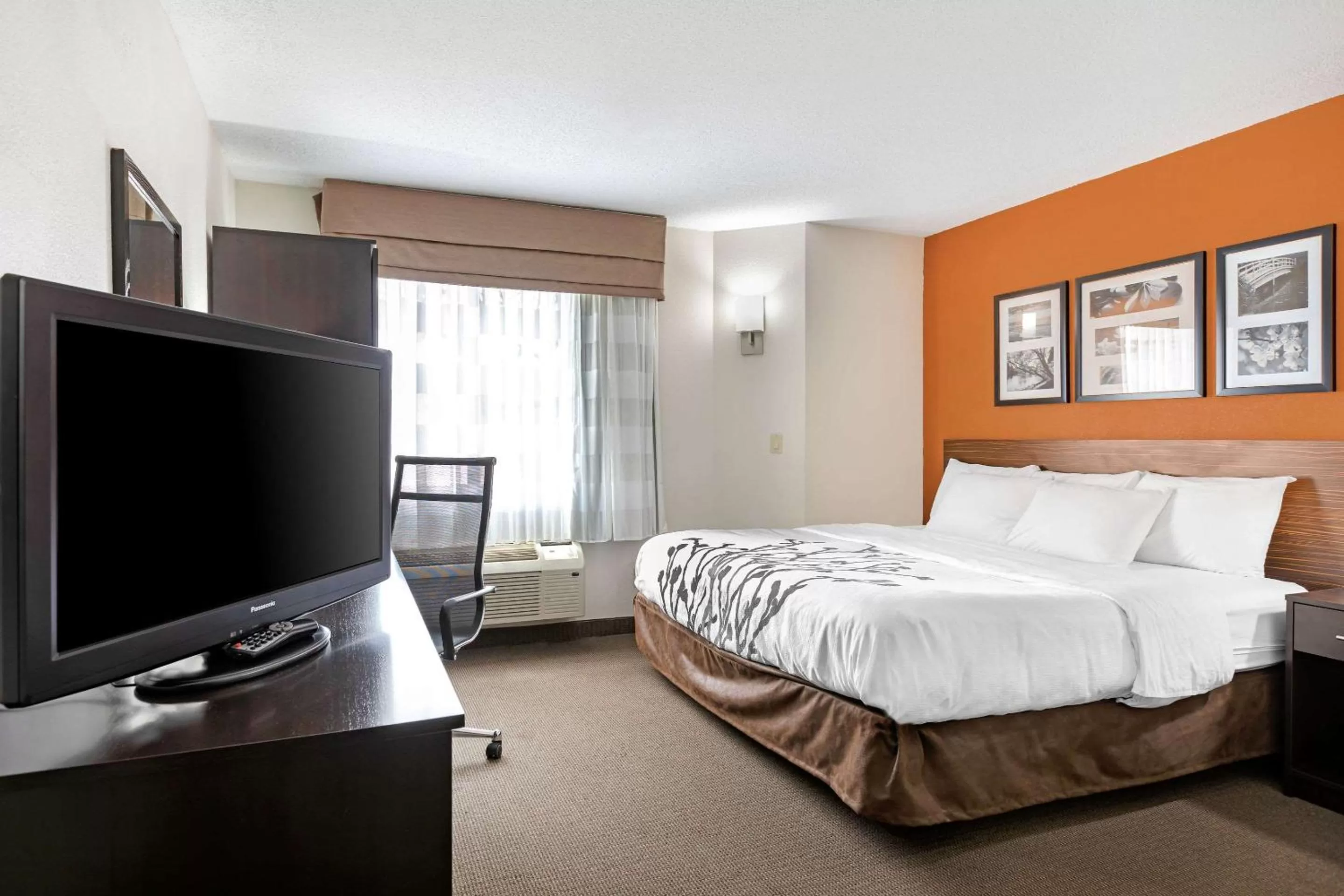 Photo of the whole room, Bed in Sleep Inn DeWitt - Lansing North