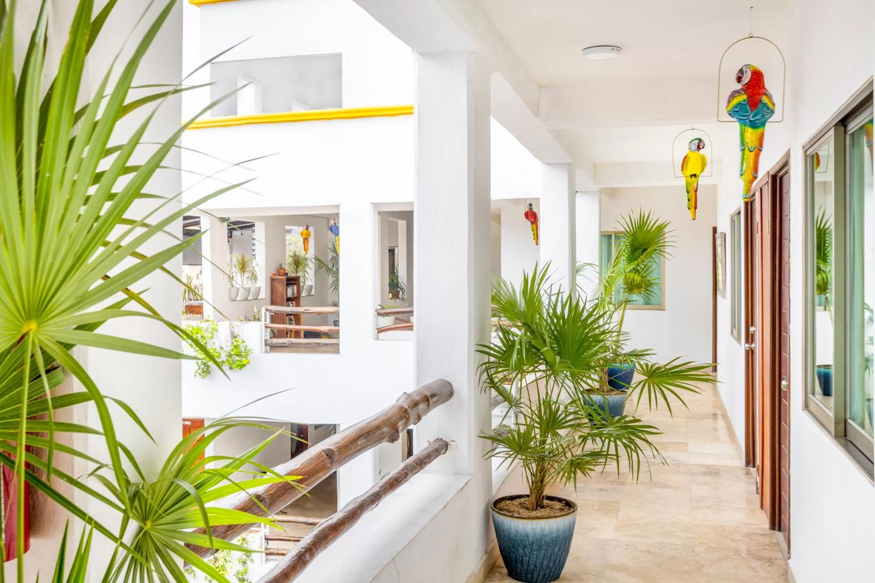 Garden in Hotel Pueblito Vallarta