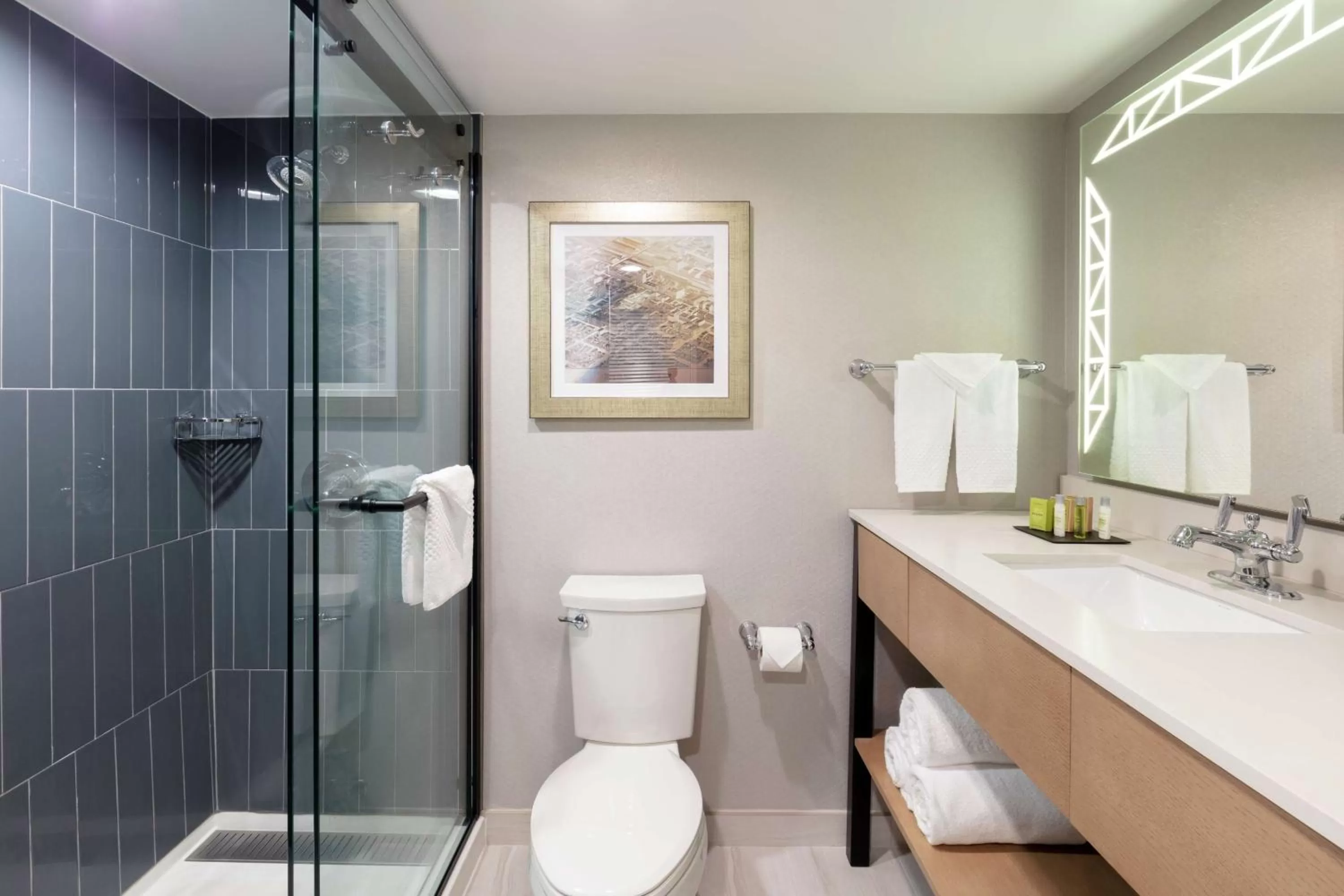 Bathroom in DoubleTree Birmingham Perimeter Park