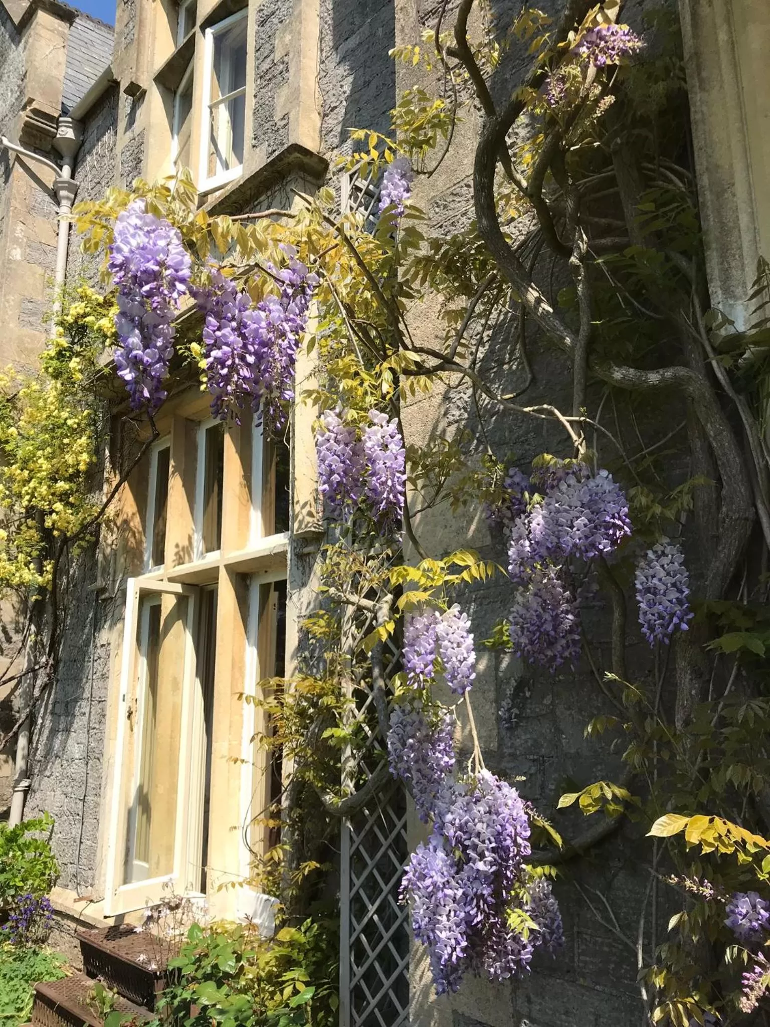 Property building in Beryl Country House