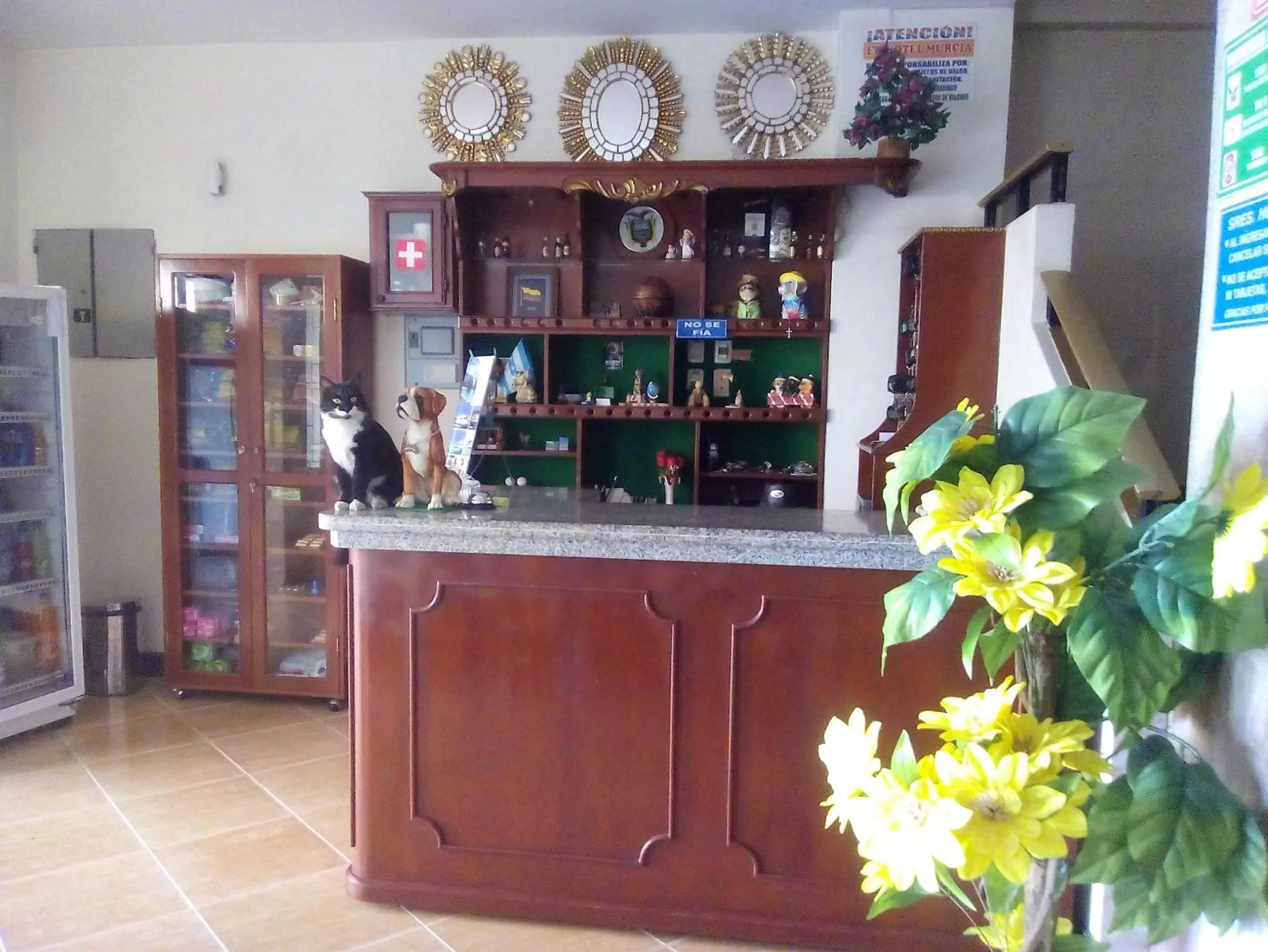 Pets, Lounge/Bar in Hotel Murcia