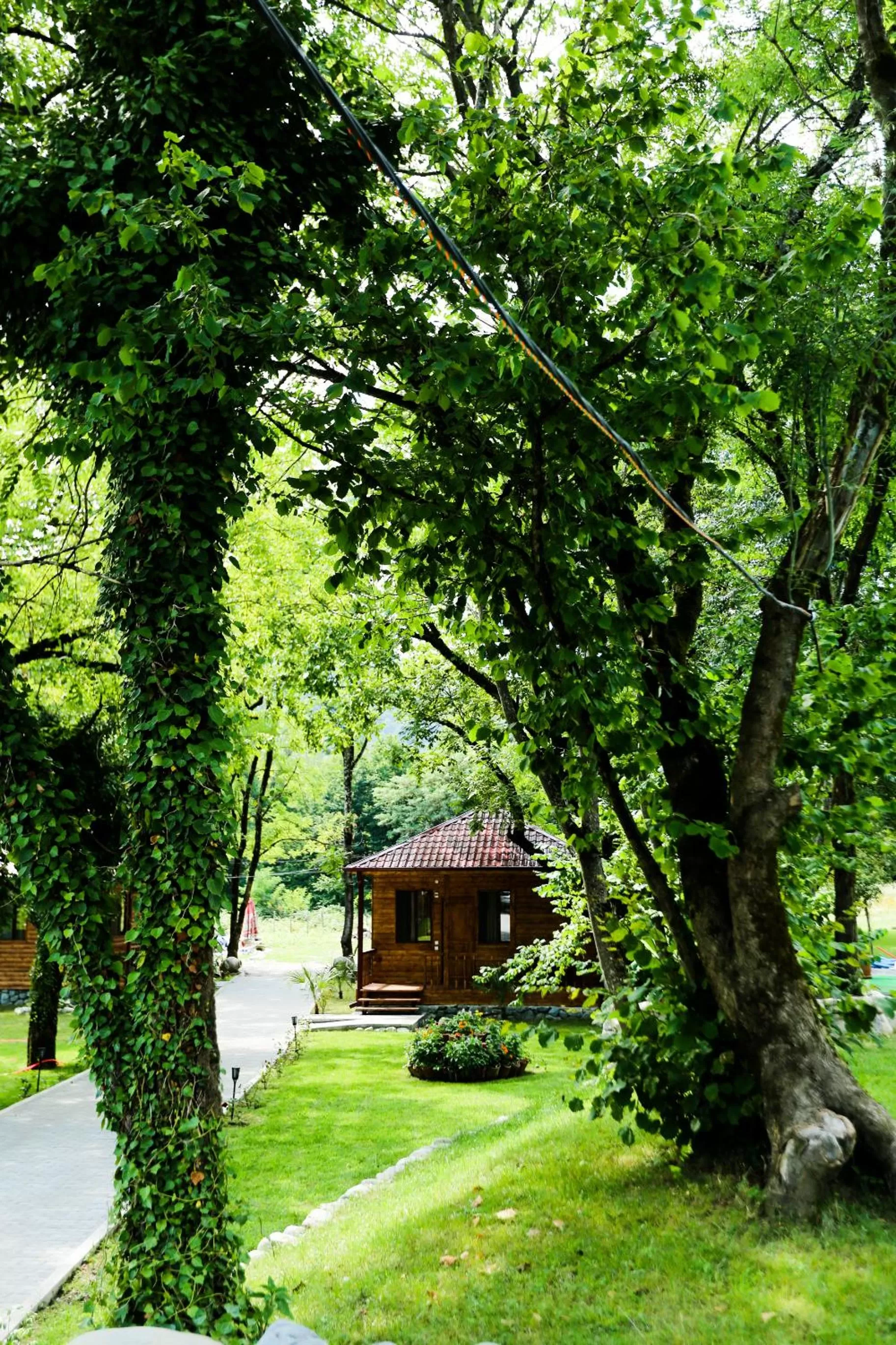 Garden, Property Building in Royal Palace Hotel, Lagodekhi