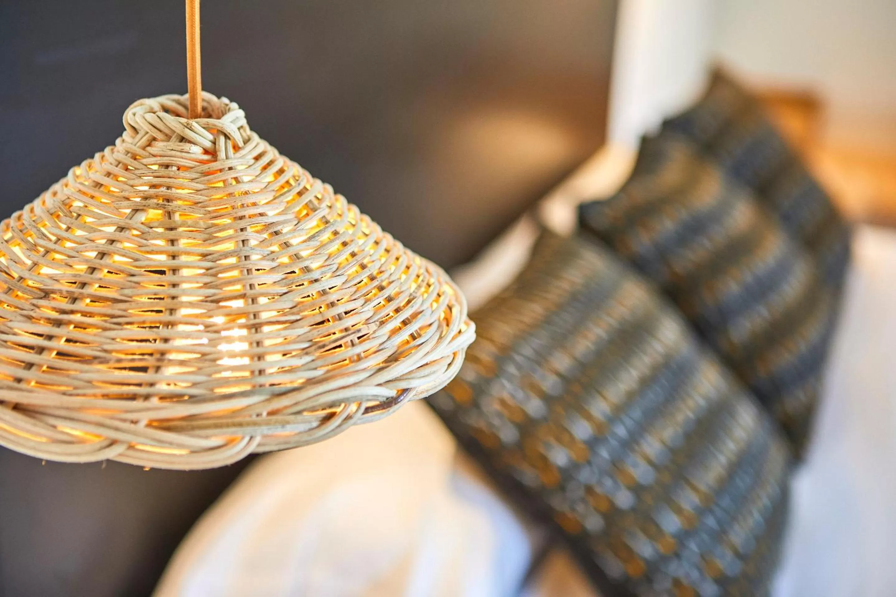 Area and facilities in FERGUS Conil Park