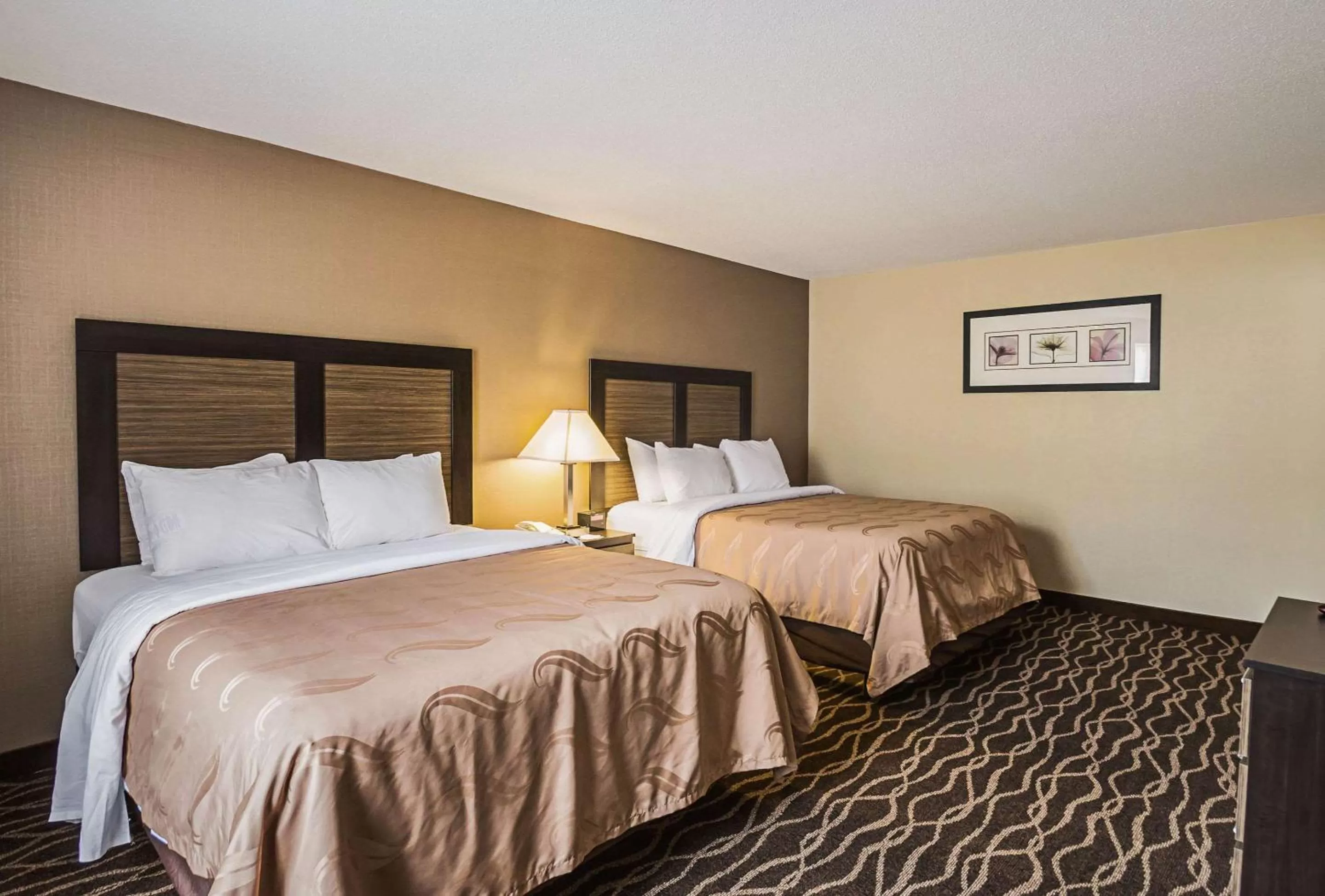 Bedroom, Bed in Quality Inn & Suites Frostburg-Cumberland