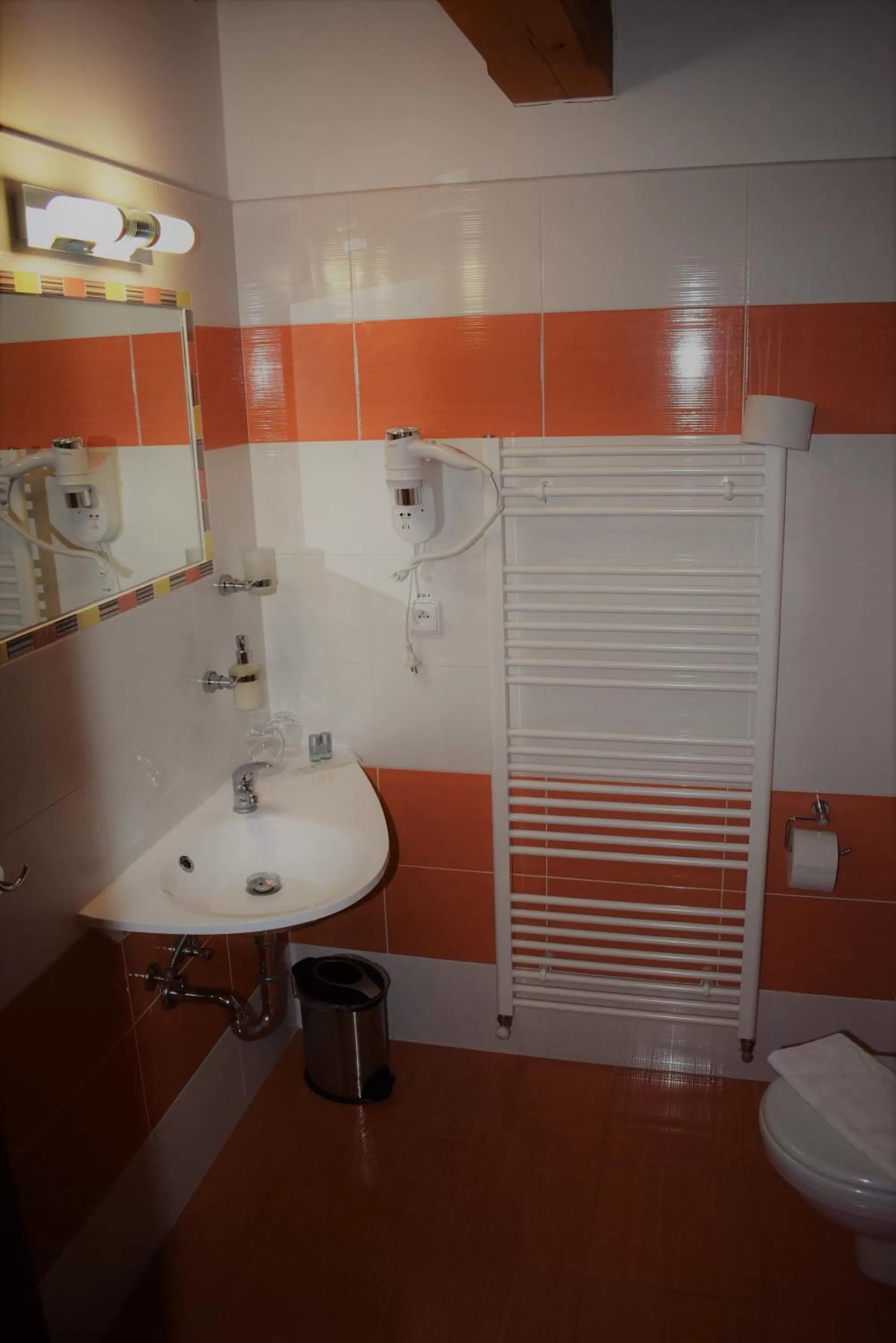 Bathroom in Motel Roubenka