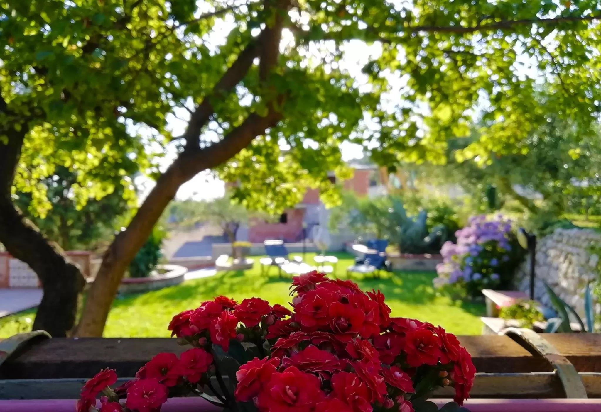 Garden in B&B Maison Villa Vittorio