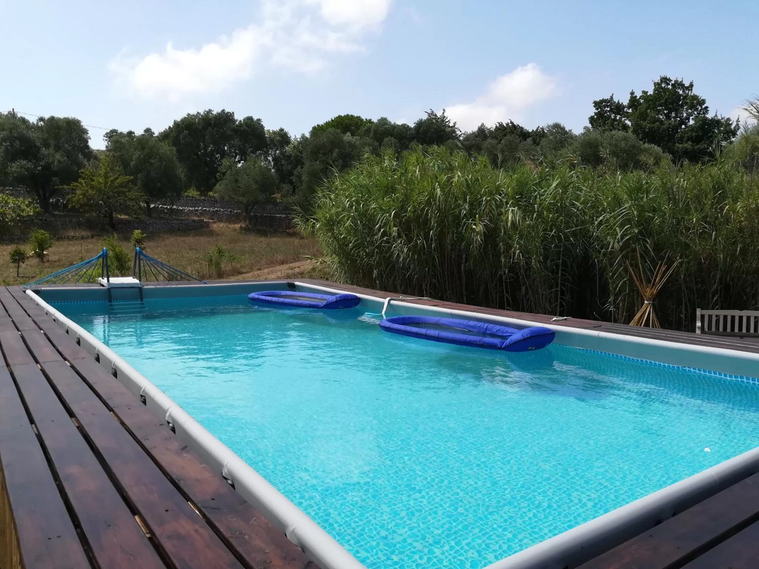 Pool view, Swimming Pool in B&B Giovannarolla Green House