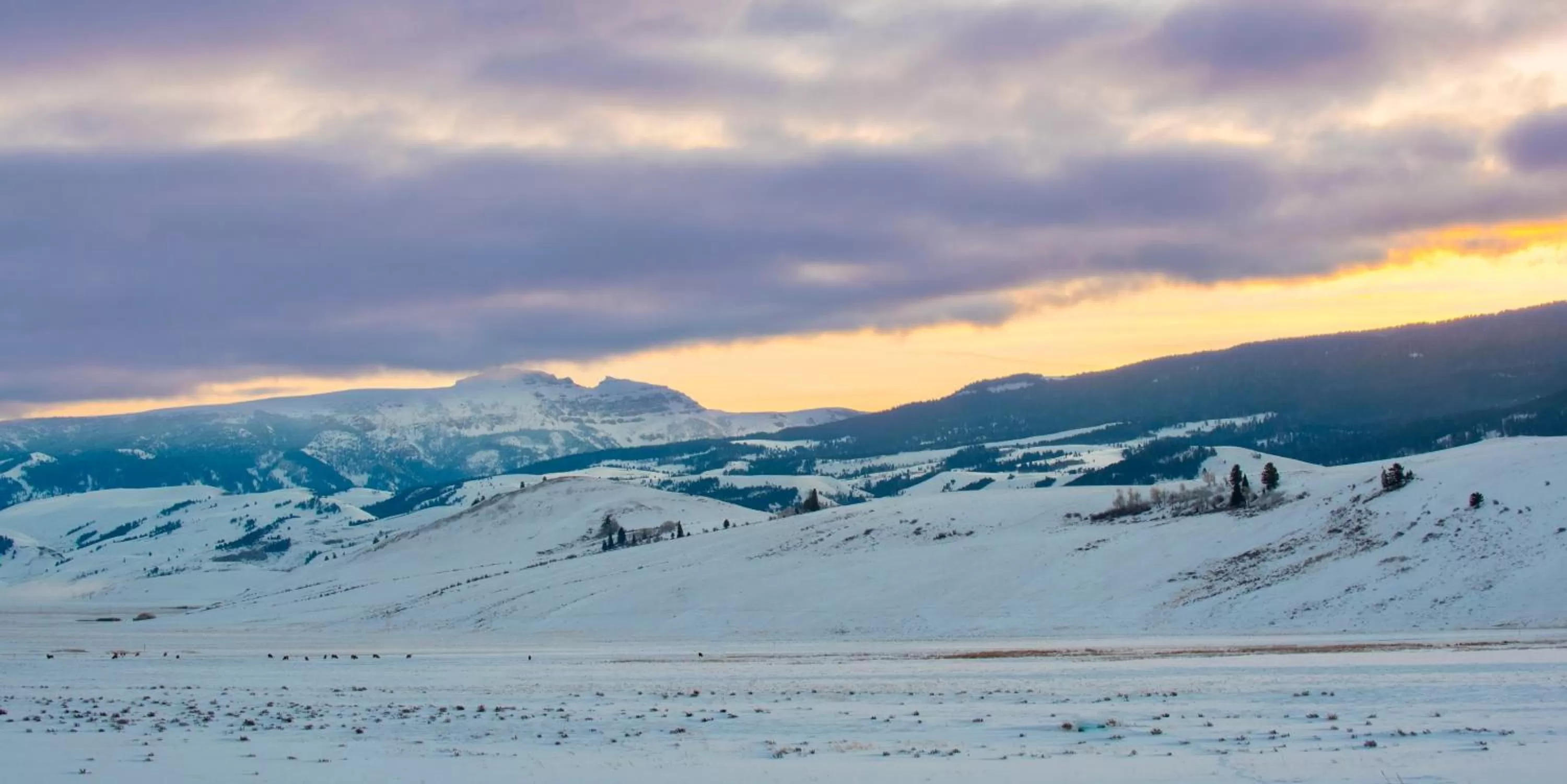 Natural landscape in Elk Refuge Inn