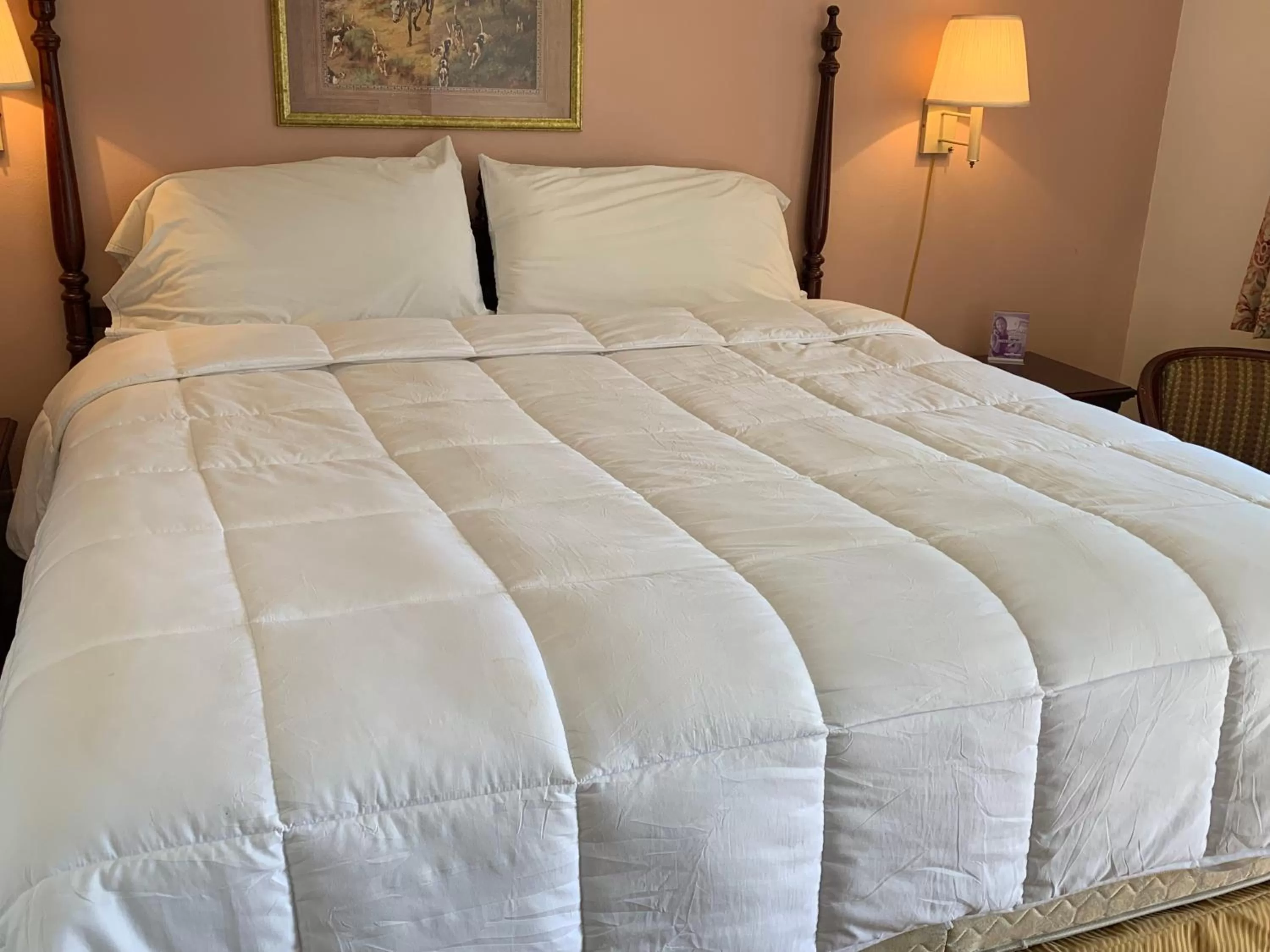 Bed in Red Carpet Inn - Gettysburg