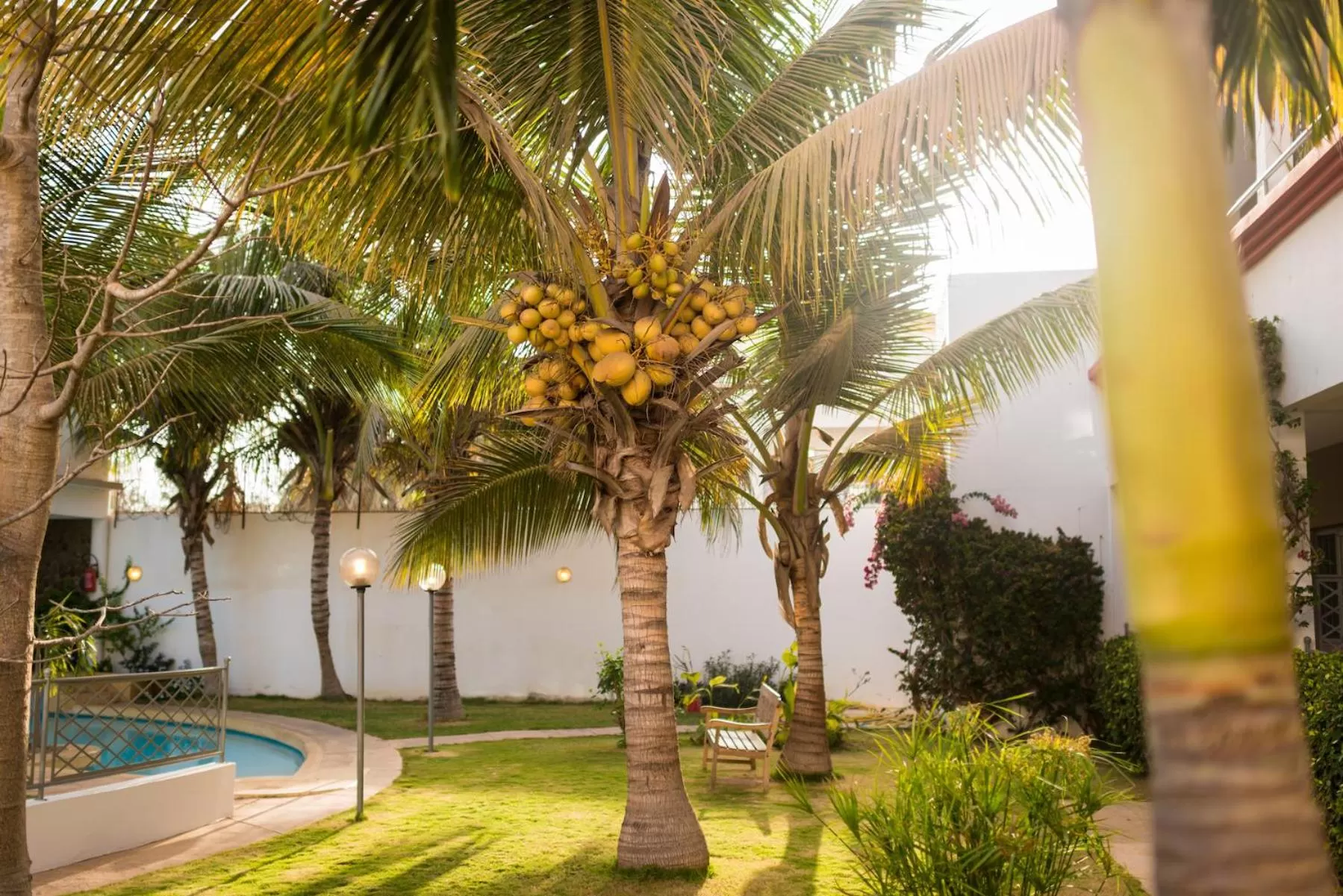 Garden, Swimming Pool in La Résidence