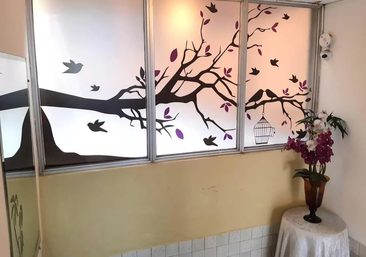 Day in La Merced Plaza Hostal