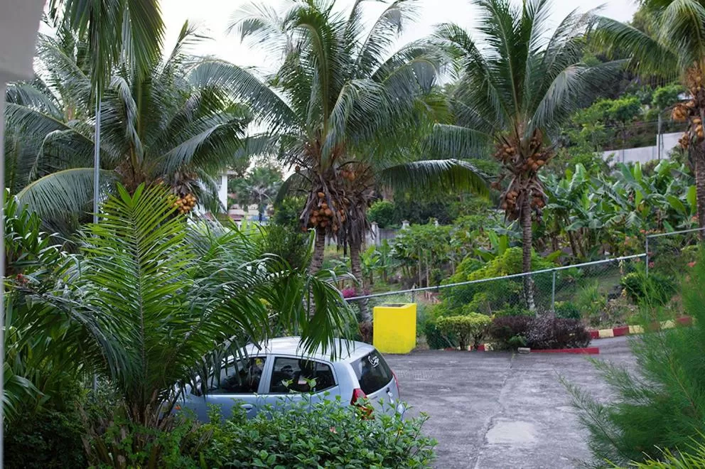 Evergreen Apartments