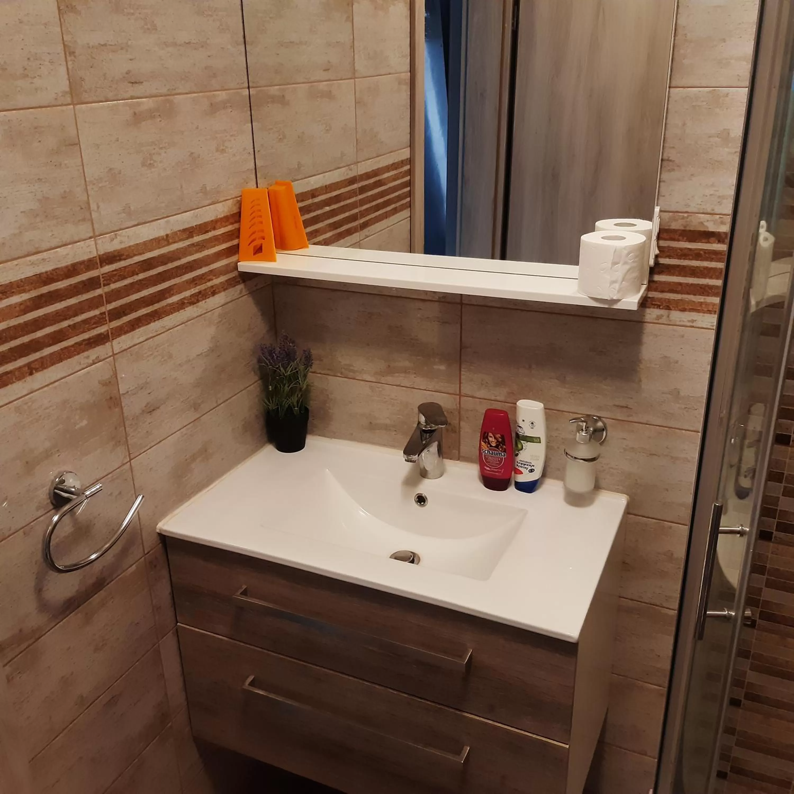 Bathroom in Sobe in apartma Pilih