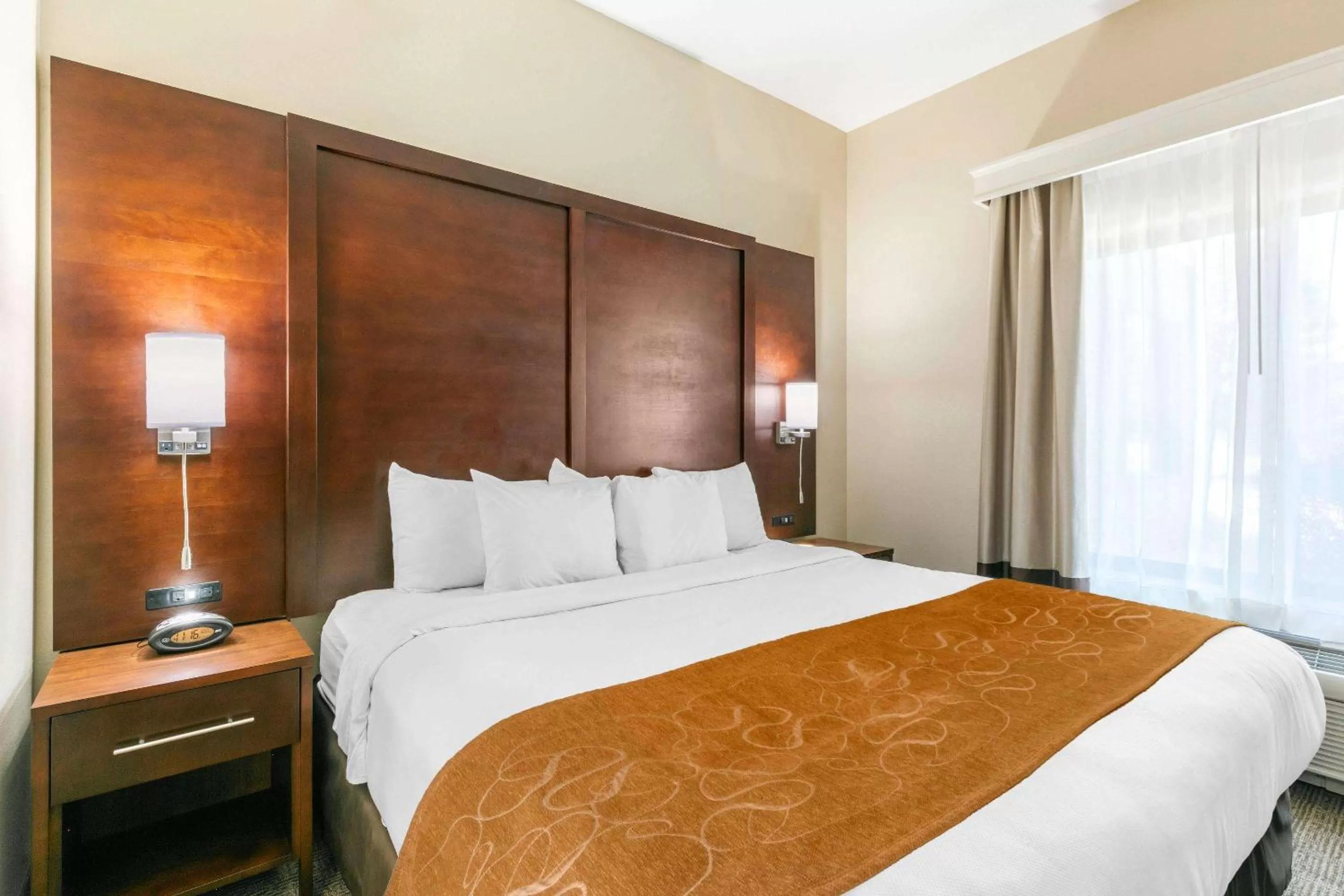 Photo of the whole room, Bed in Comfort Suites Hopkinsville near Fort Campbell