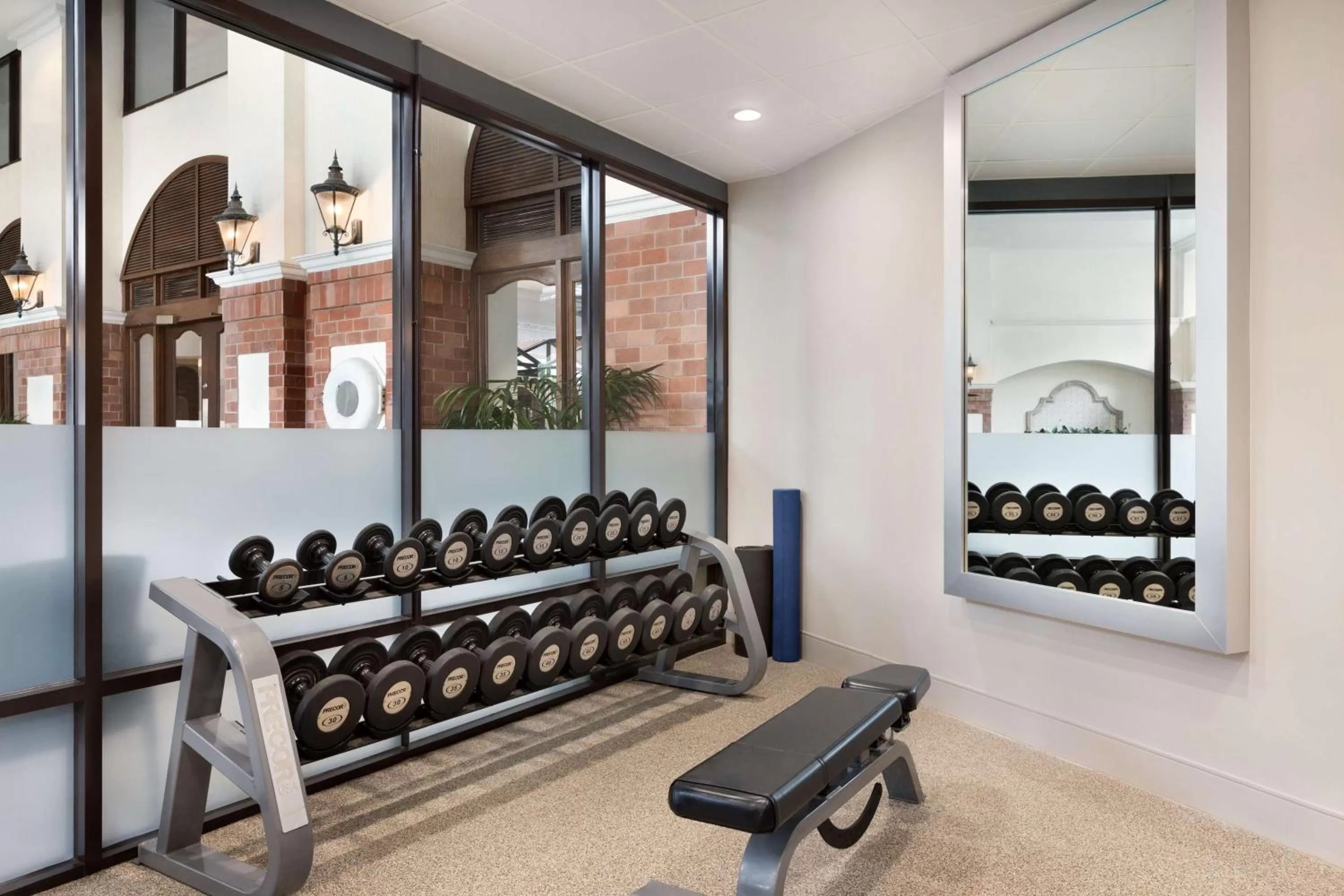 Fitness centre/facilities in Embassy Suites by Hilton Dallas DFW Airport South
