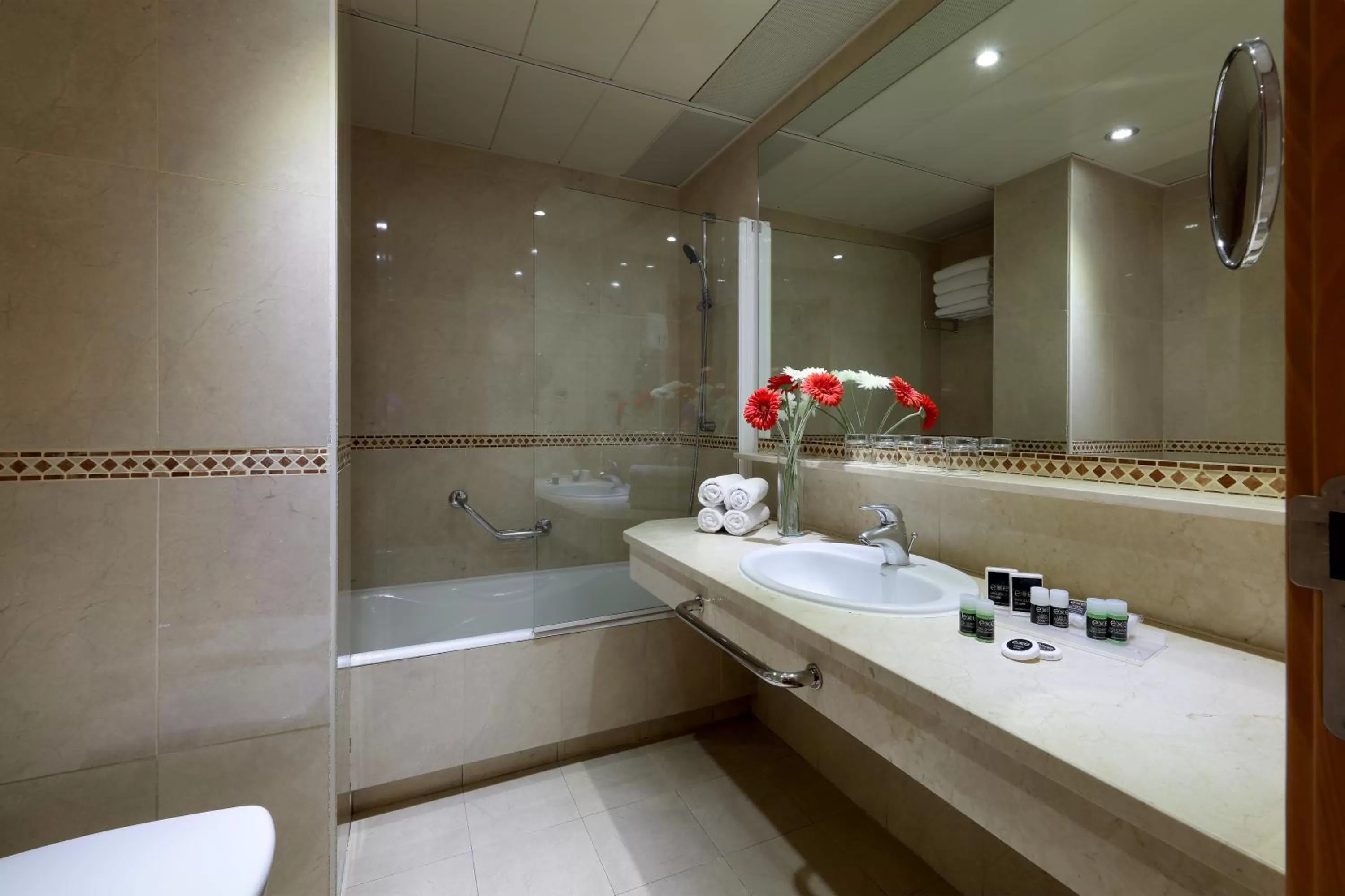 Bathroom in Exe Plaza