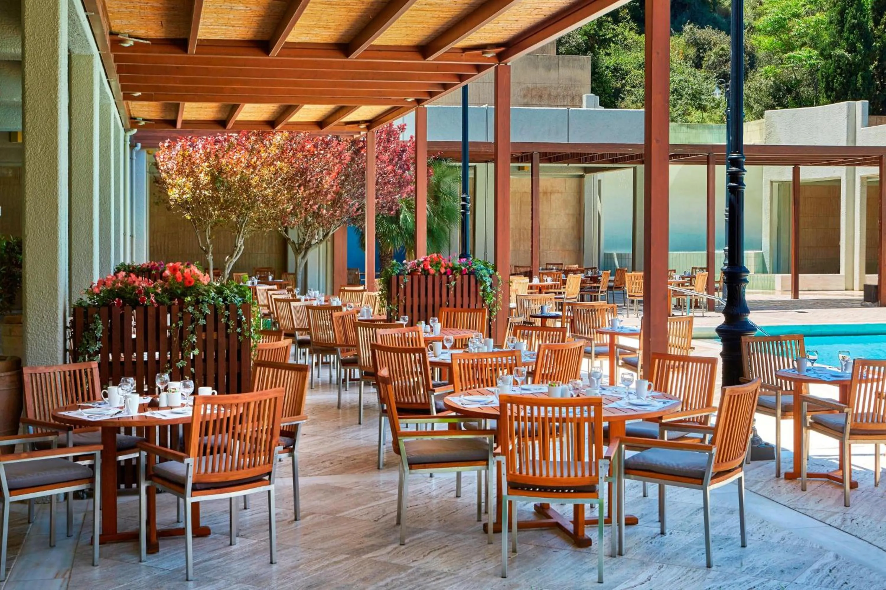 Restaurant/places to eat in Sheraton Rhodes Resort