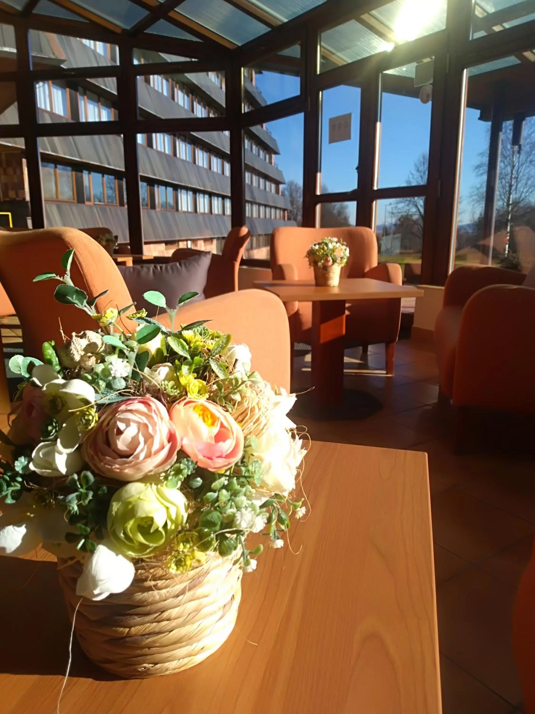 Lounge or bar in Hotel SOREA TITRIS