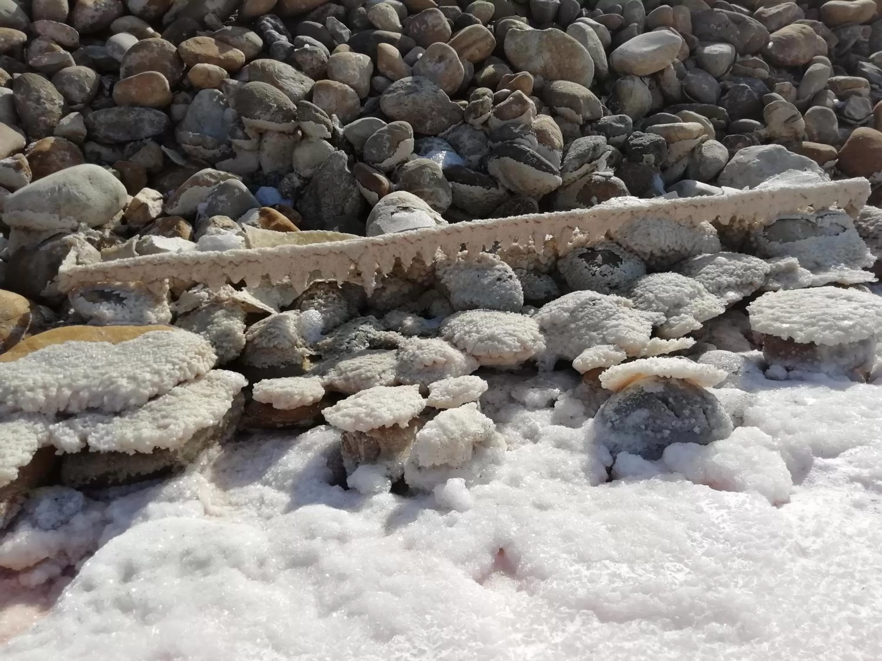 les chambres du Saunier