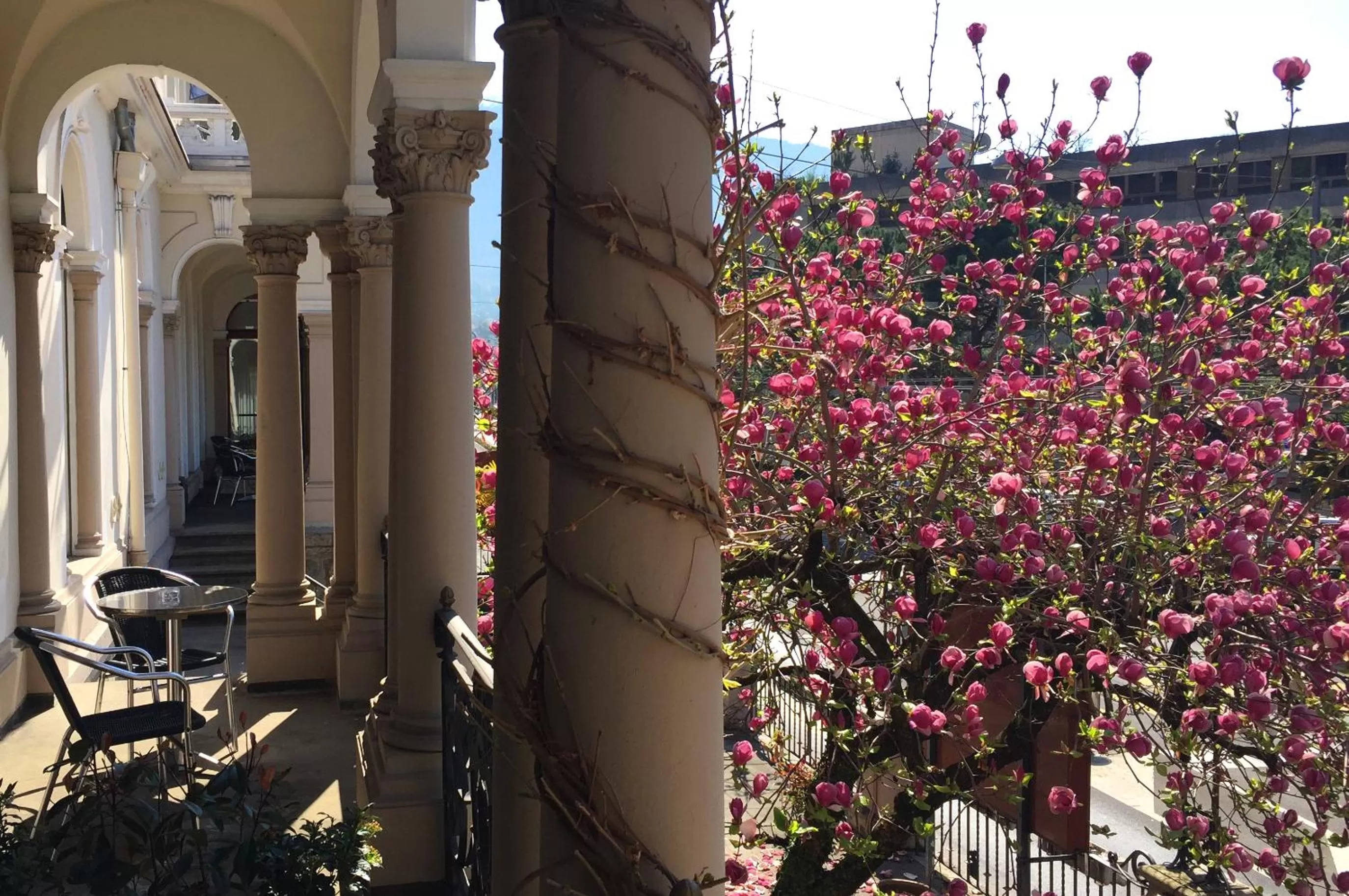 Area and facilities in Villa Toscane