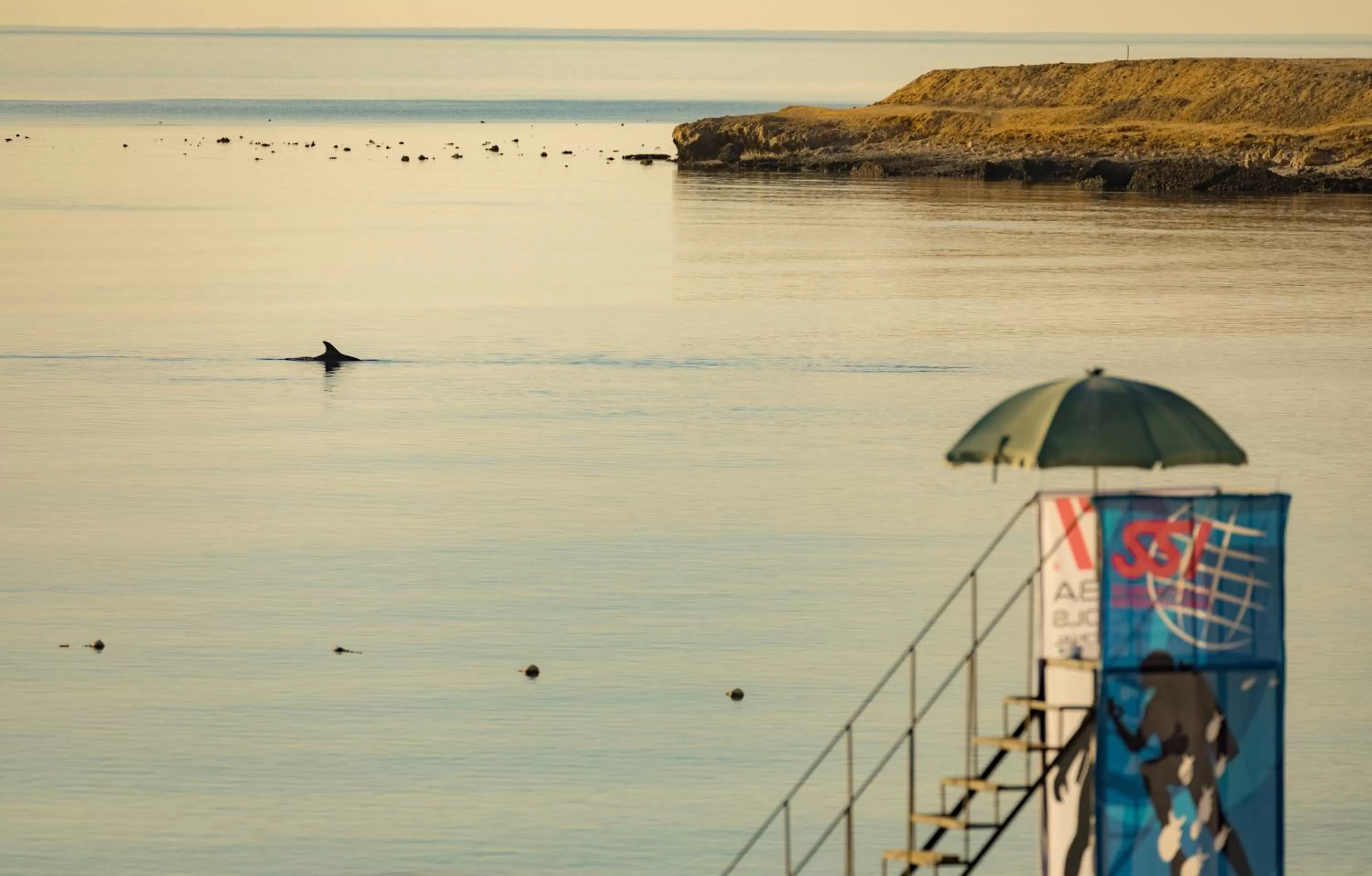 Snorkeling in Coral Sun Beach