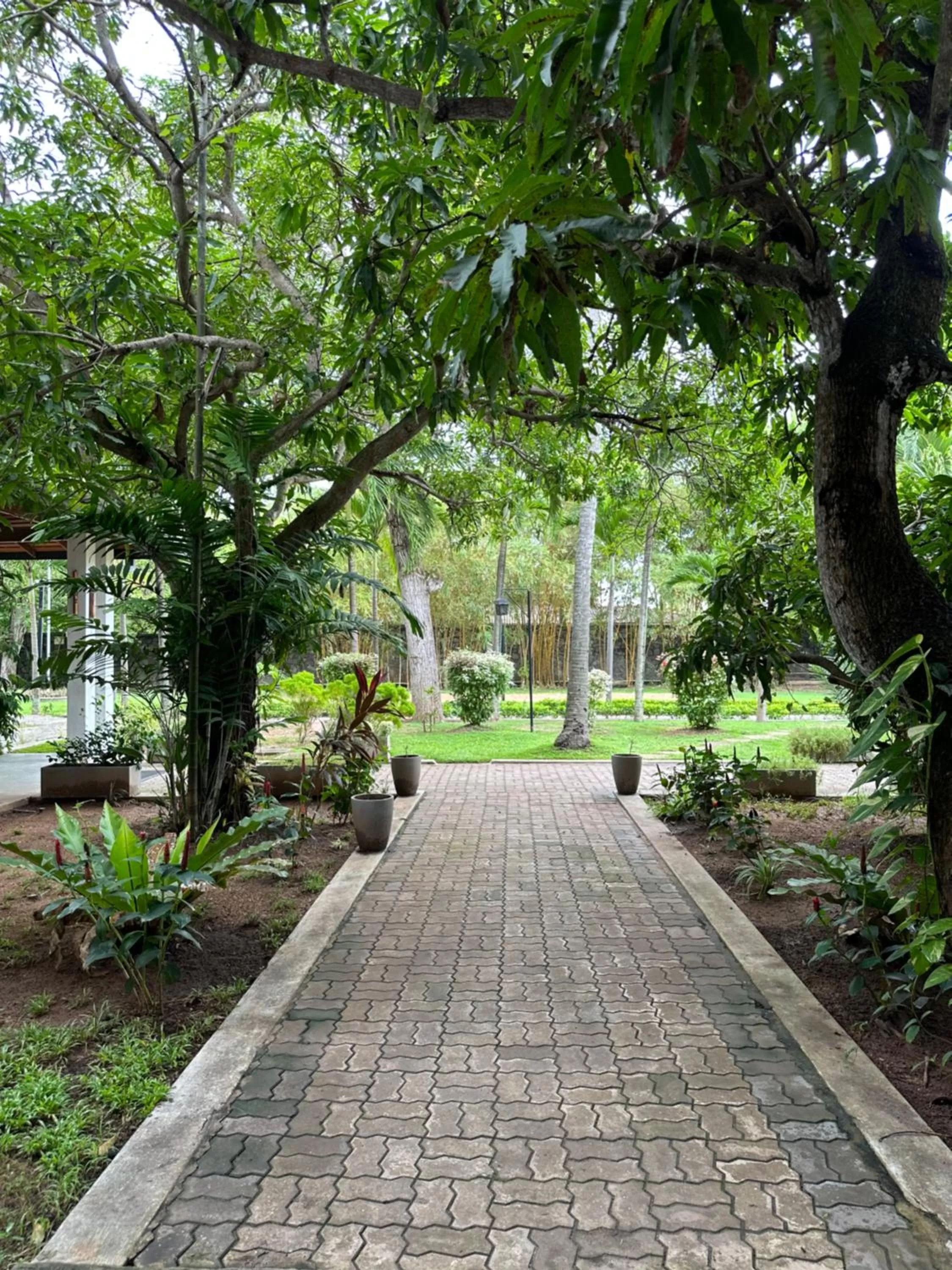 Garden view in Amaluna Resorts