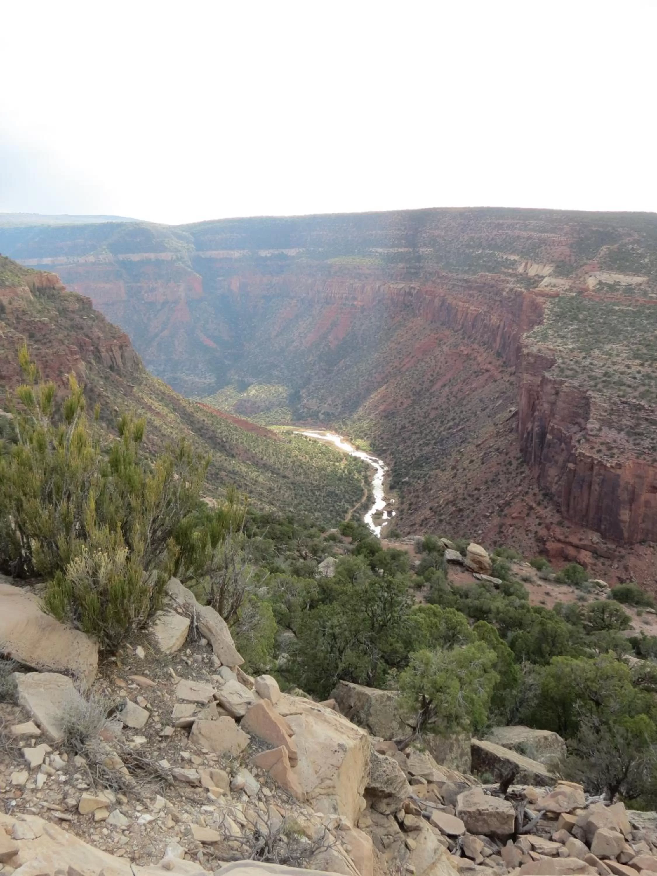 Natural landscape in Cedar Canyon Condos