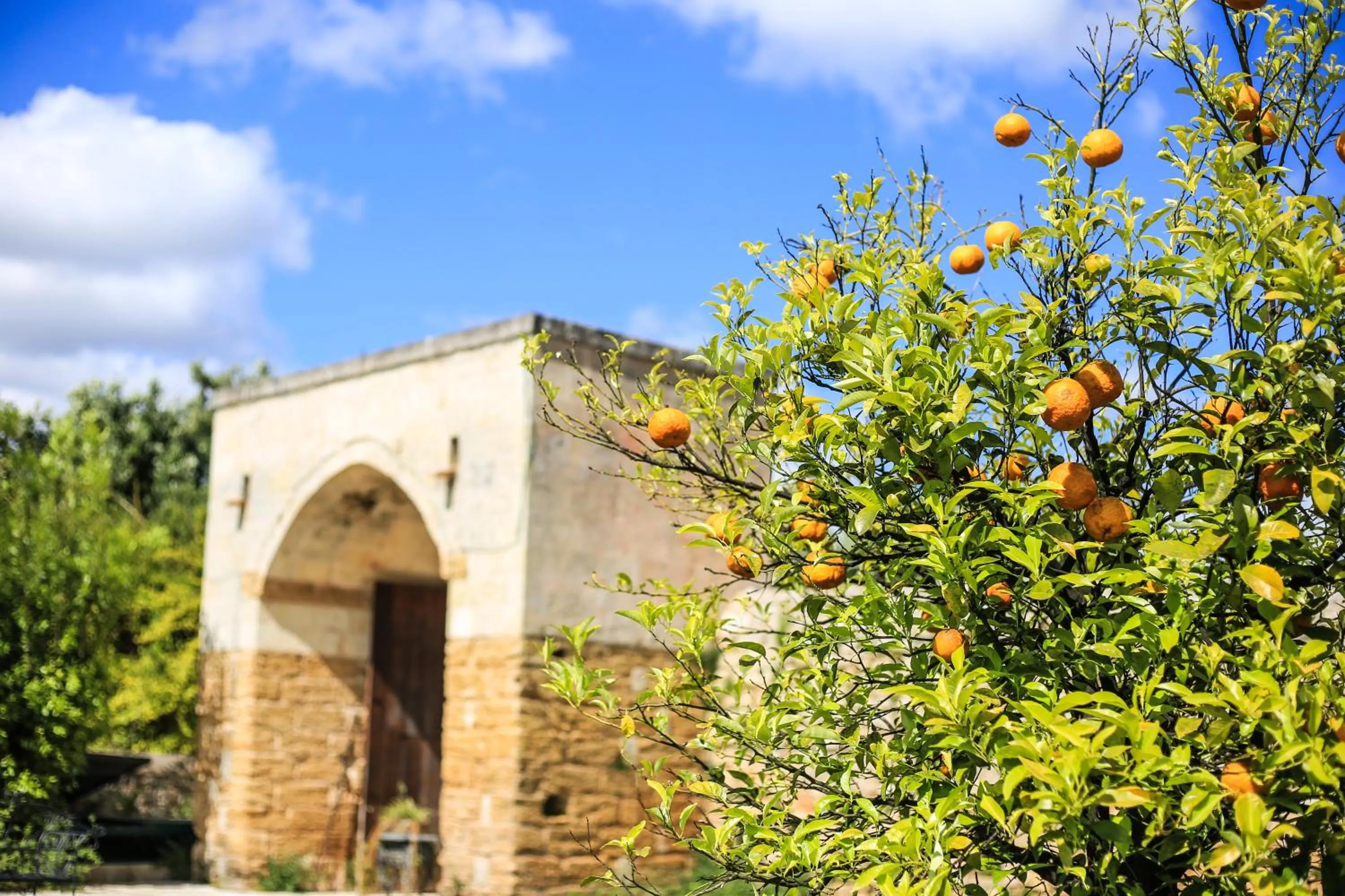 Property building in Tenuta Moreno