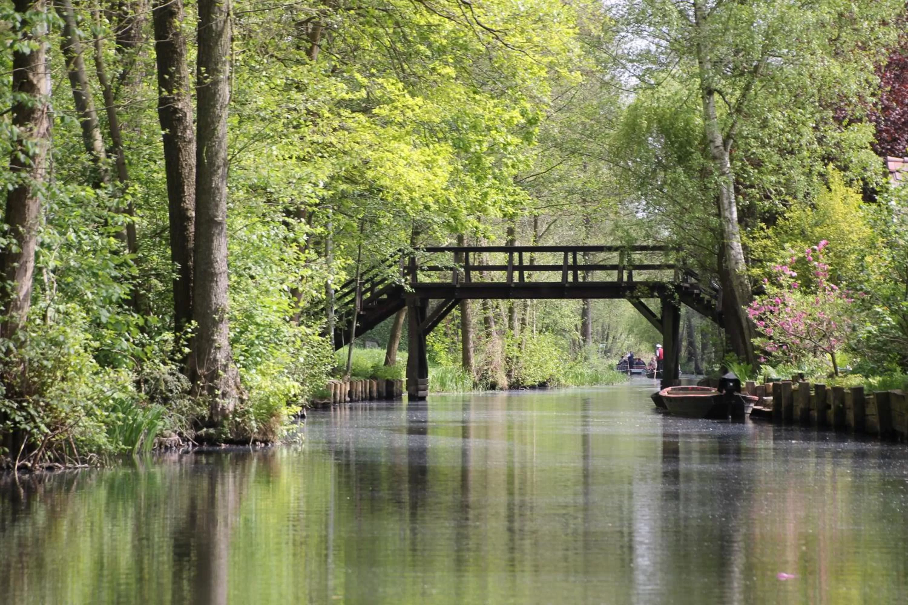 Spring in Hotel Zum Goldenen Löwen