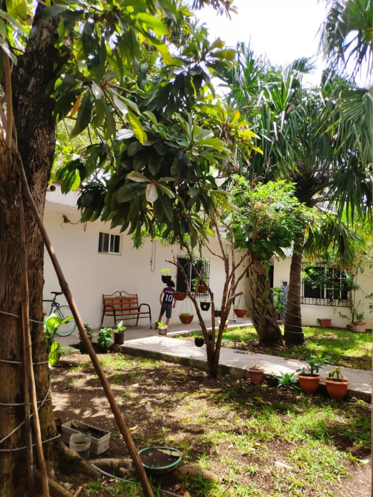 Bea rooms and studios