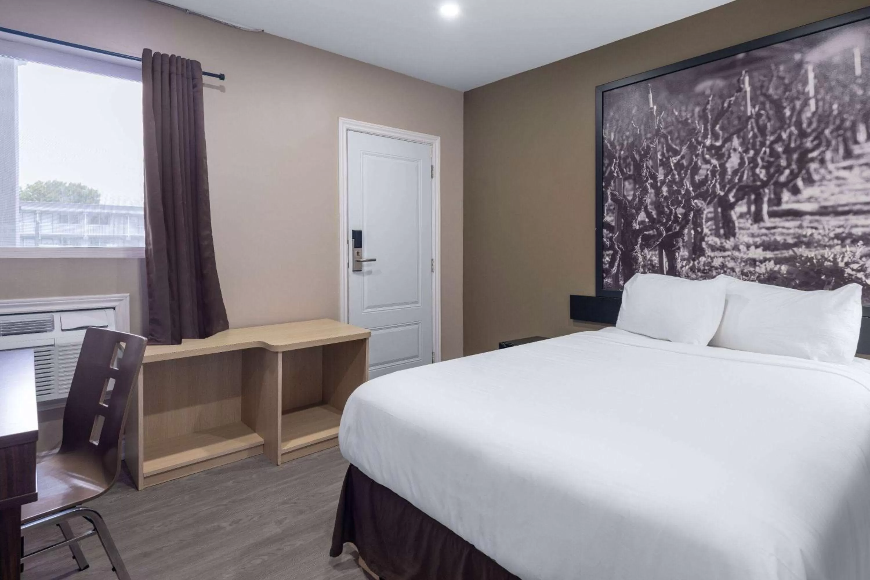 Photo of the whole room in Super 8 by Wyndham Niagara Falls ON