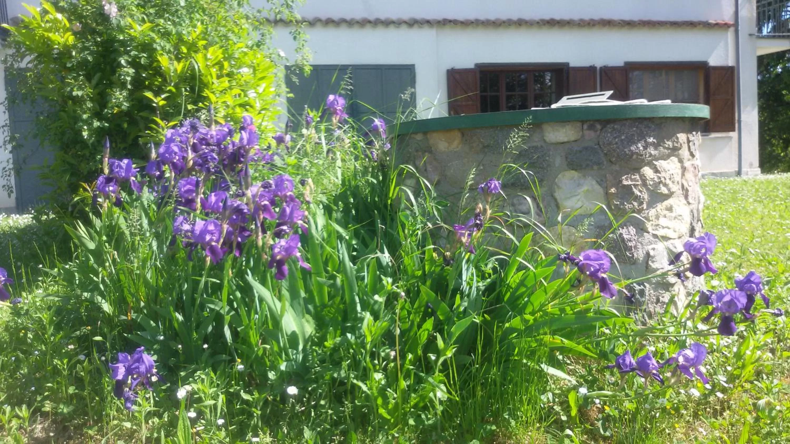 On site in Cascina Torello