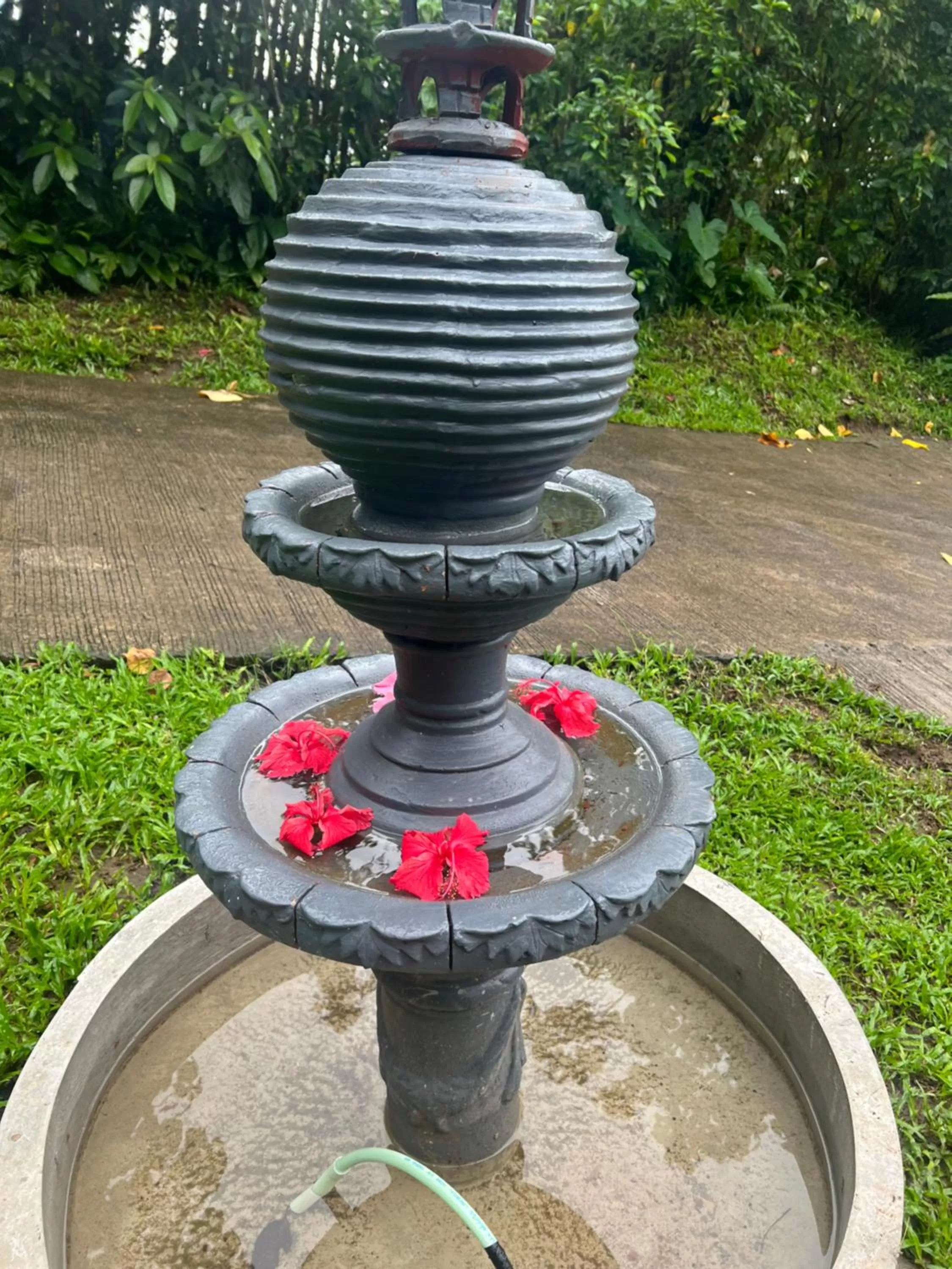 Bintana sa Paraiso Binunsaran