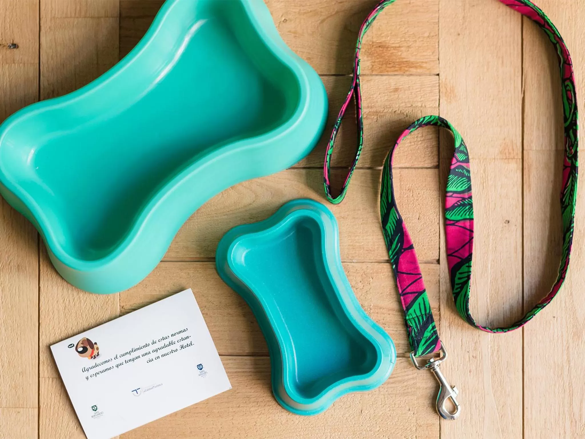 Other in Hotel San Miguel