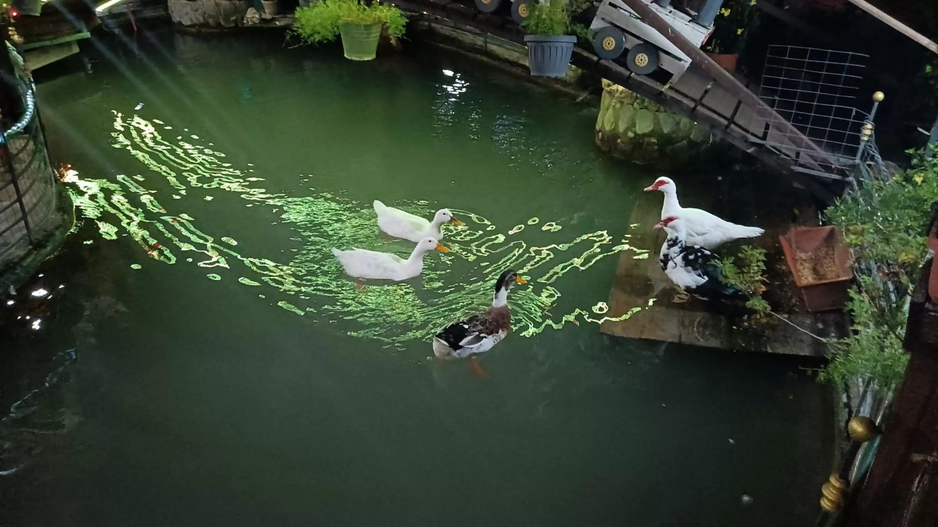 Property building in Il Laghetto