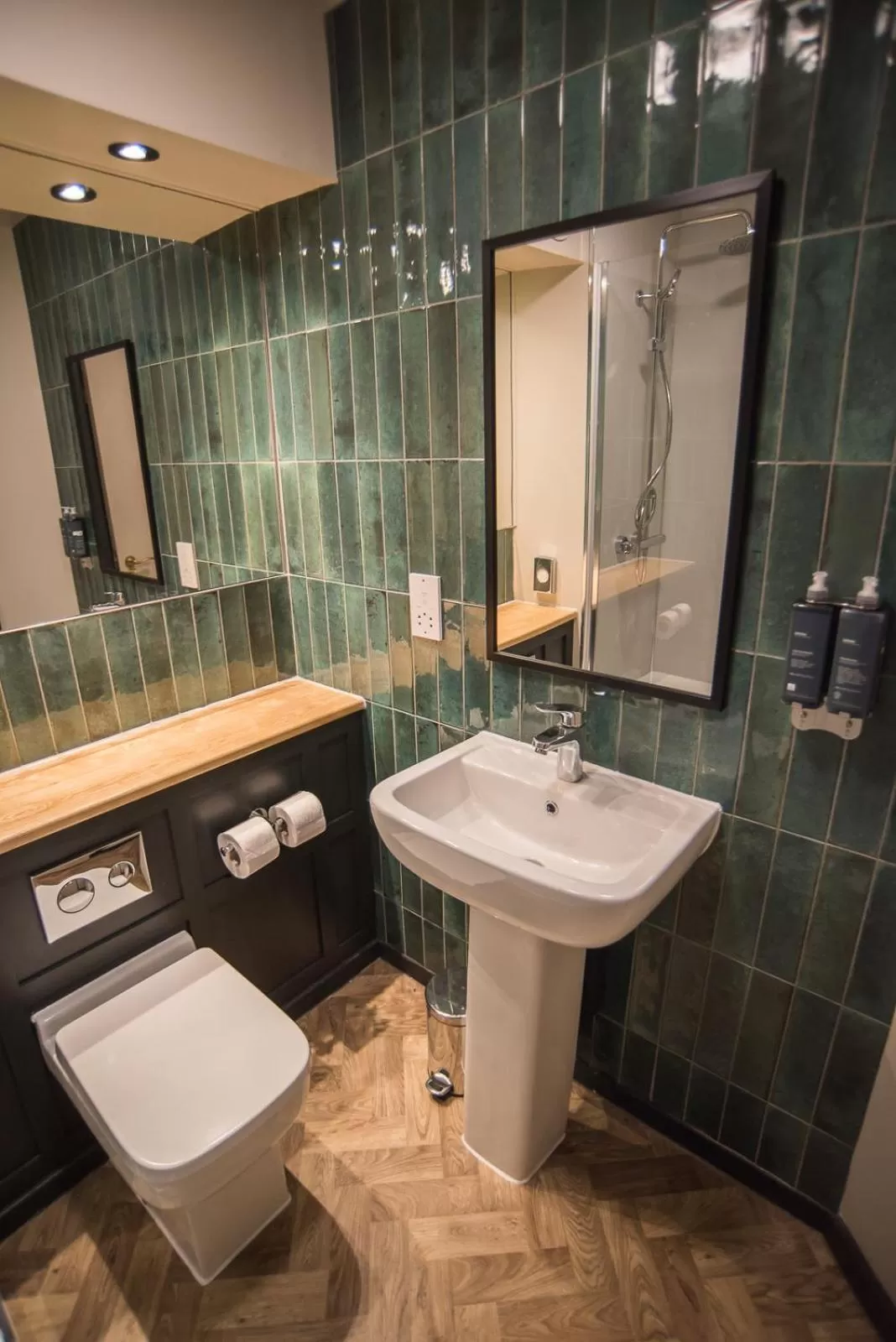 Toilet in Cat & Lion Country Pub and Hotel